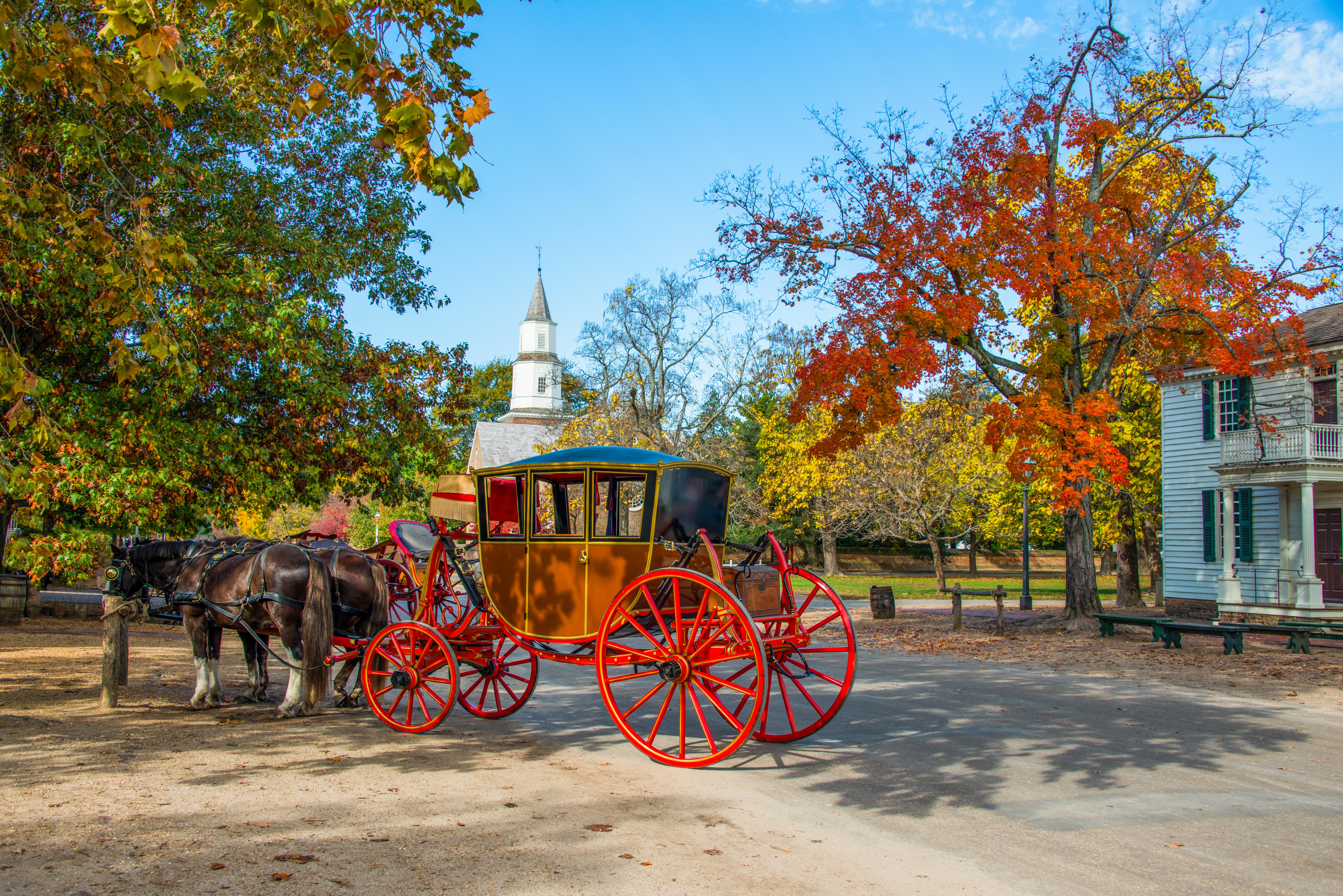 A horse drawn carriage along the street in Williamsburg in the fall
