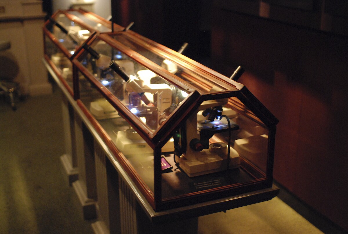 Image of a display case full of odd exhibits at the Museum of Jurassic Technology, in Los Angeles.