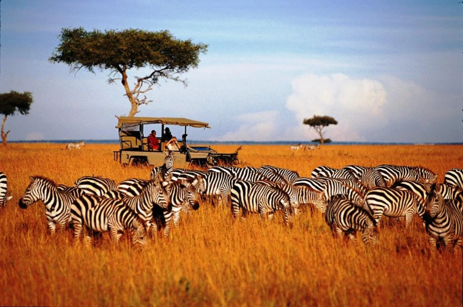 African Travel