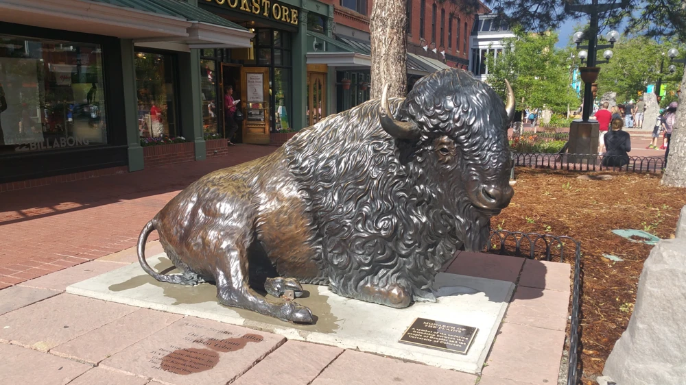 Buffalo Statue on Pearl Street in Boulder Colorado