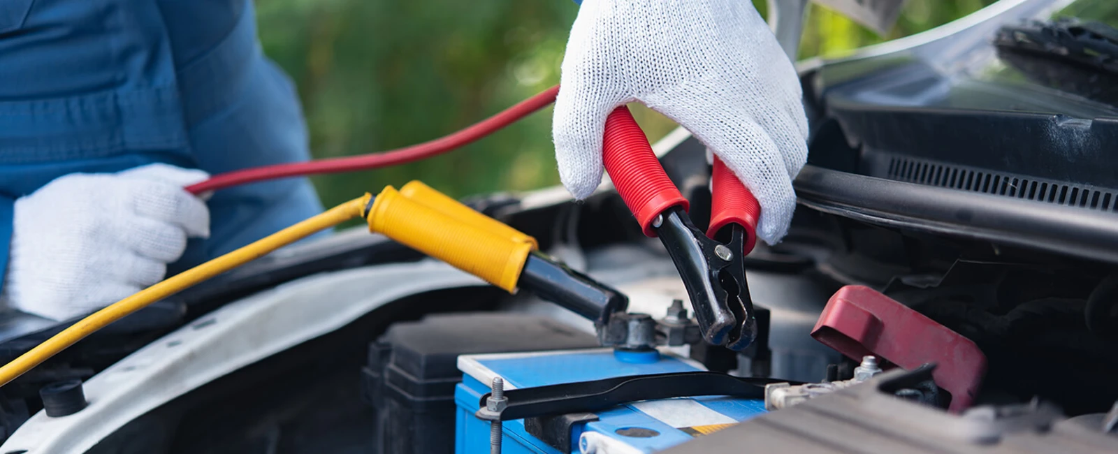 Dead Battery? How To Charge a Car Battery Yourself Trip Canvas