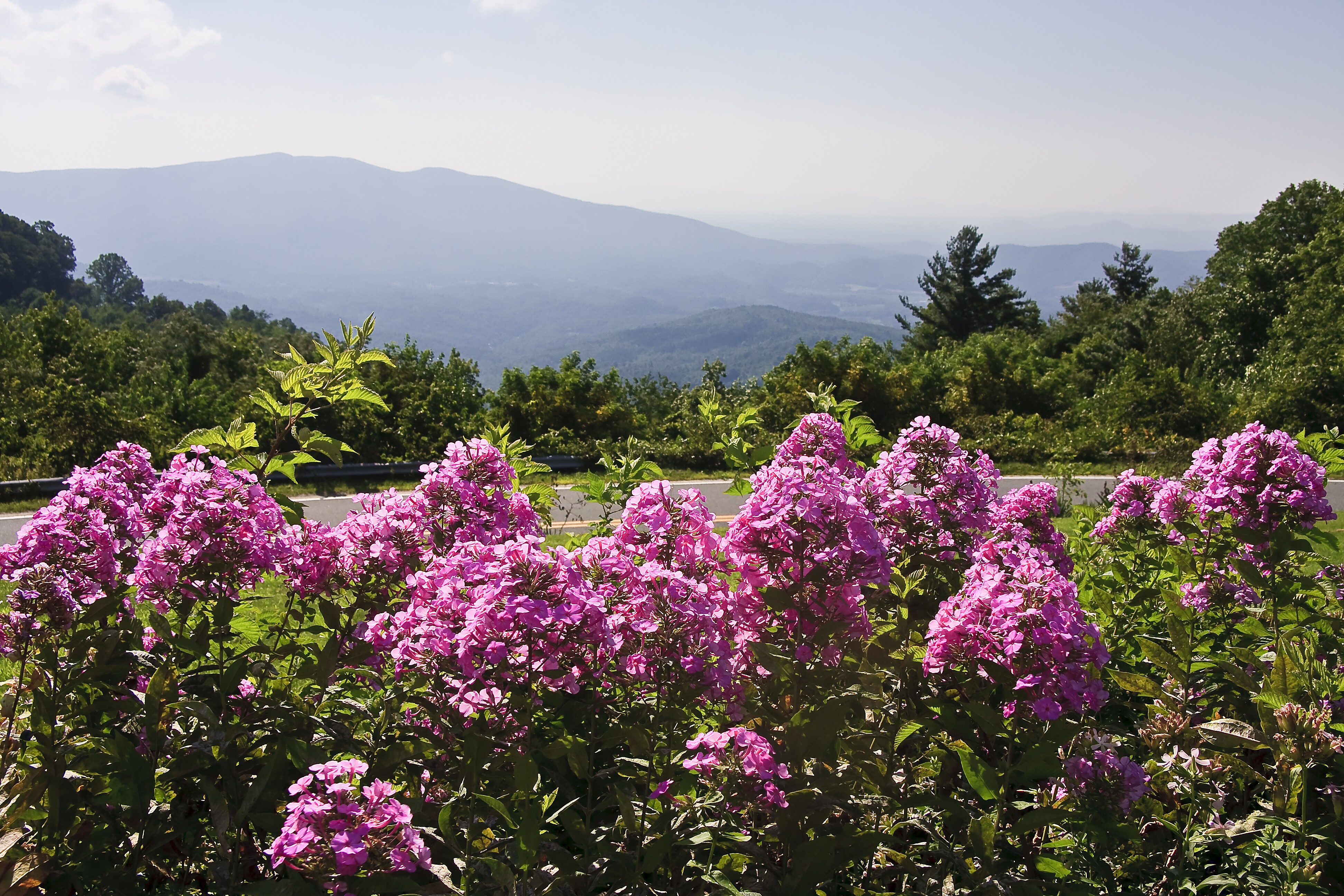 Great Smoky Mountains Scenic Expressway Road Trip