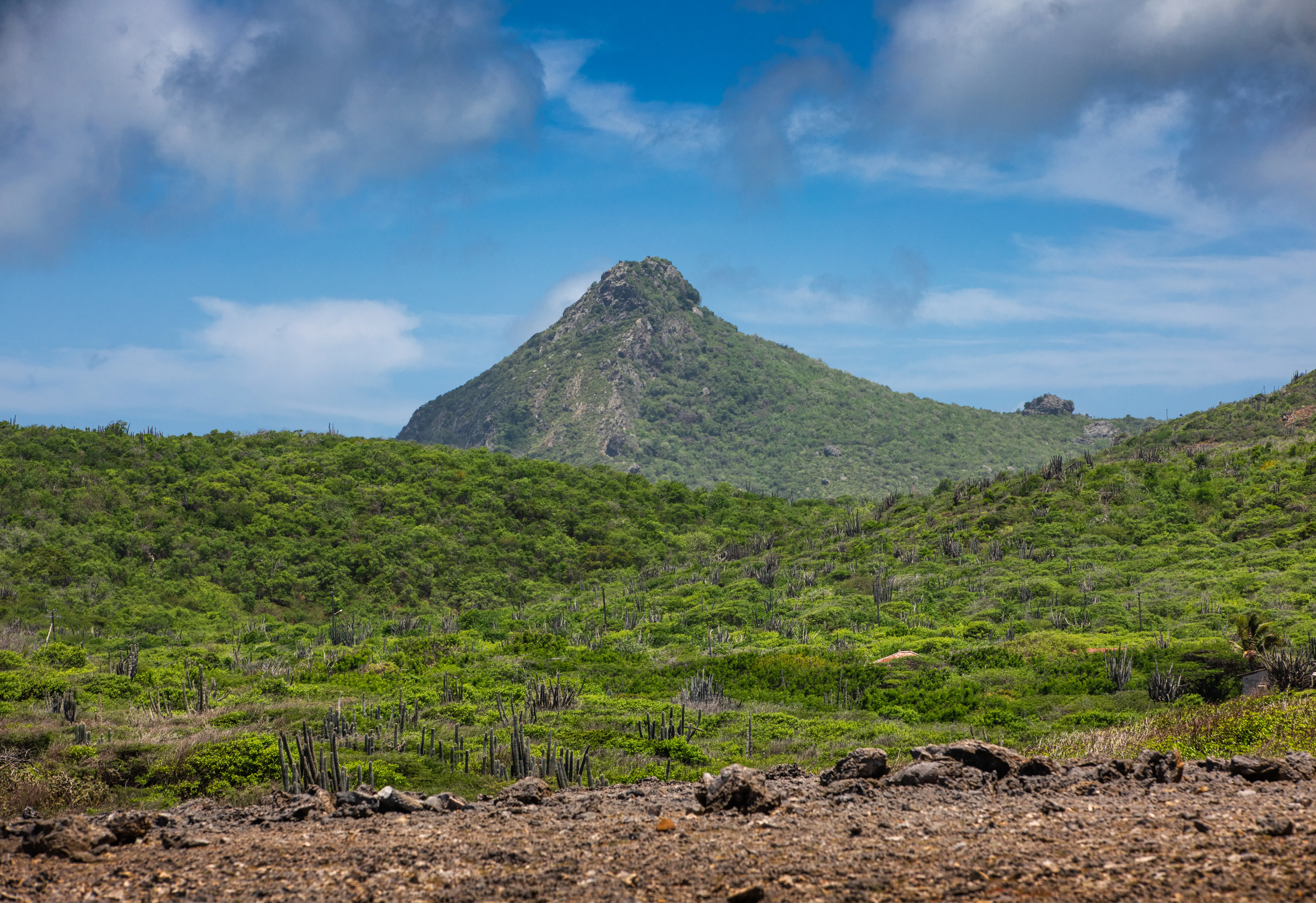 Image of the nature and landscape at Christoffel Park, Curacao.