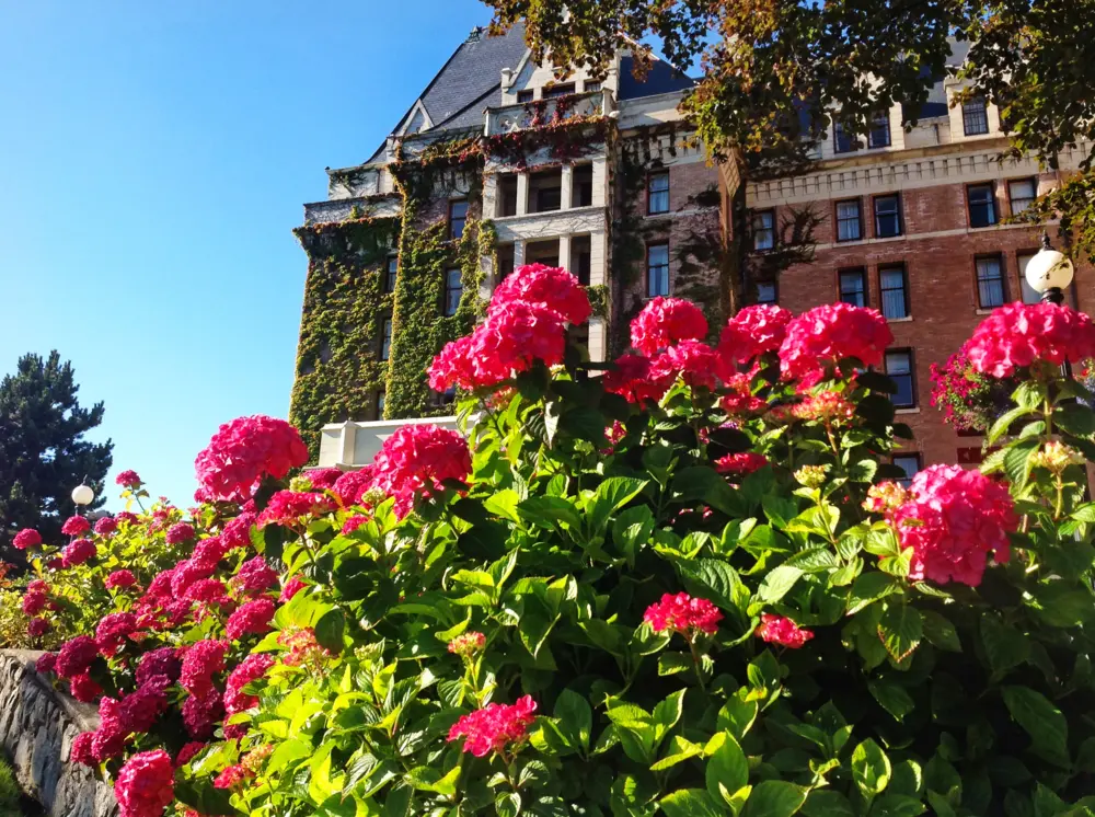 Street and harbor scenes