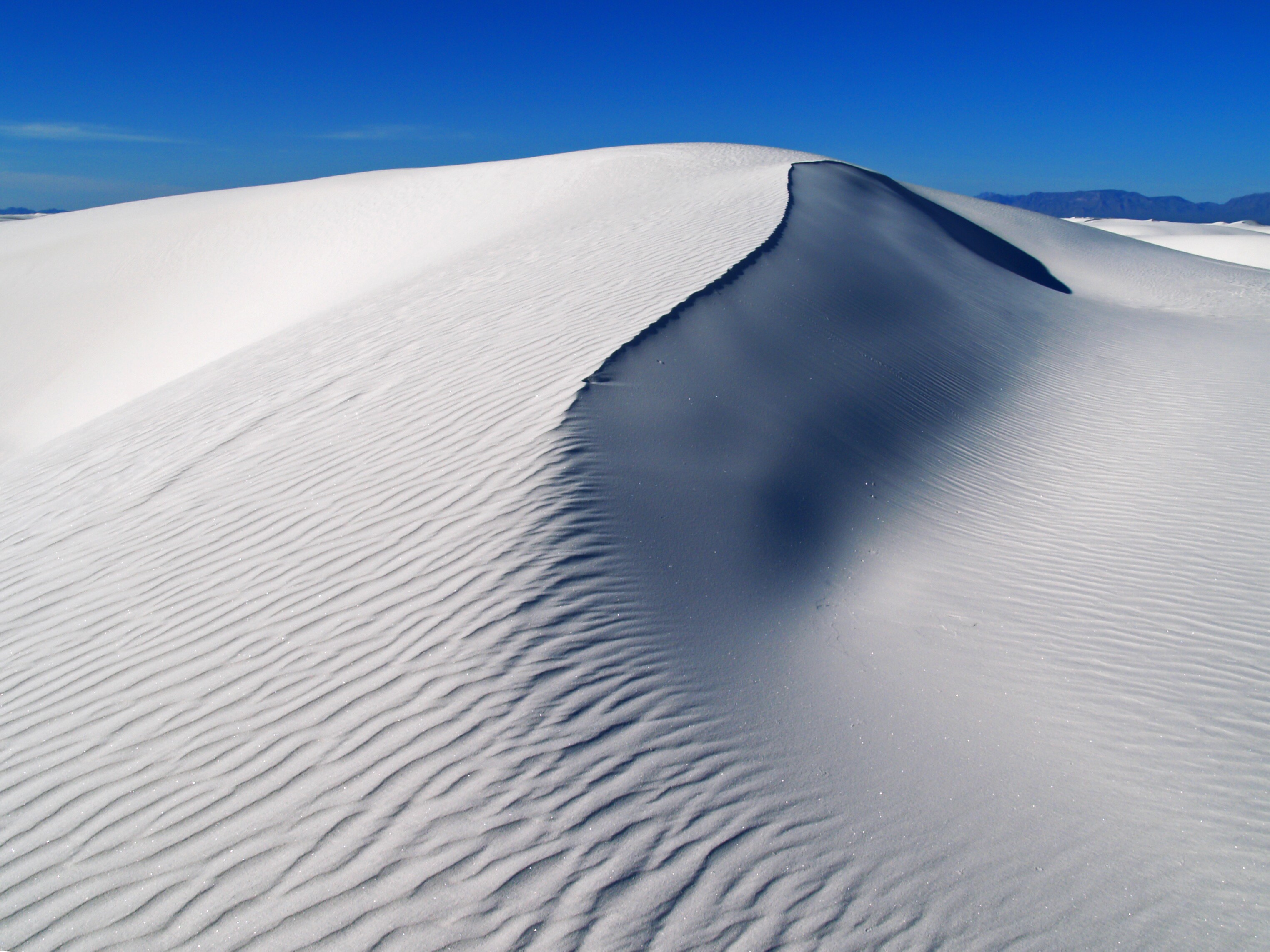 Dunes Scenic Drive Road Trip