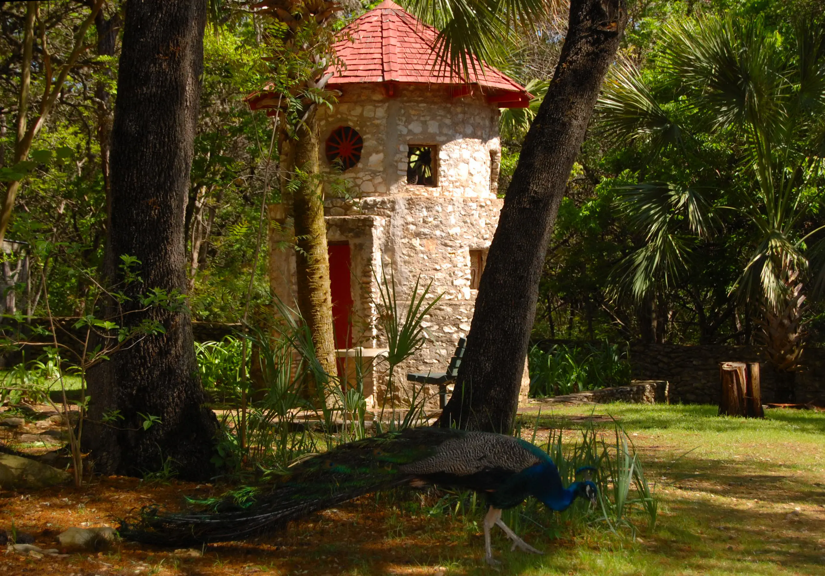 Outdoor image of the Mayfield Park and Preserve, in Austin Texas.