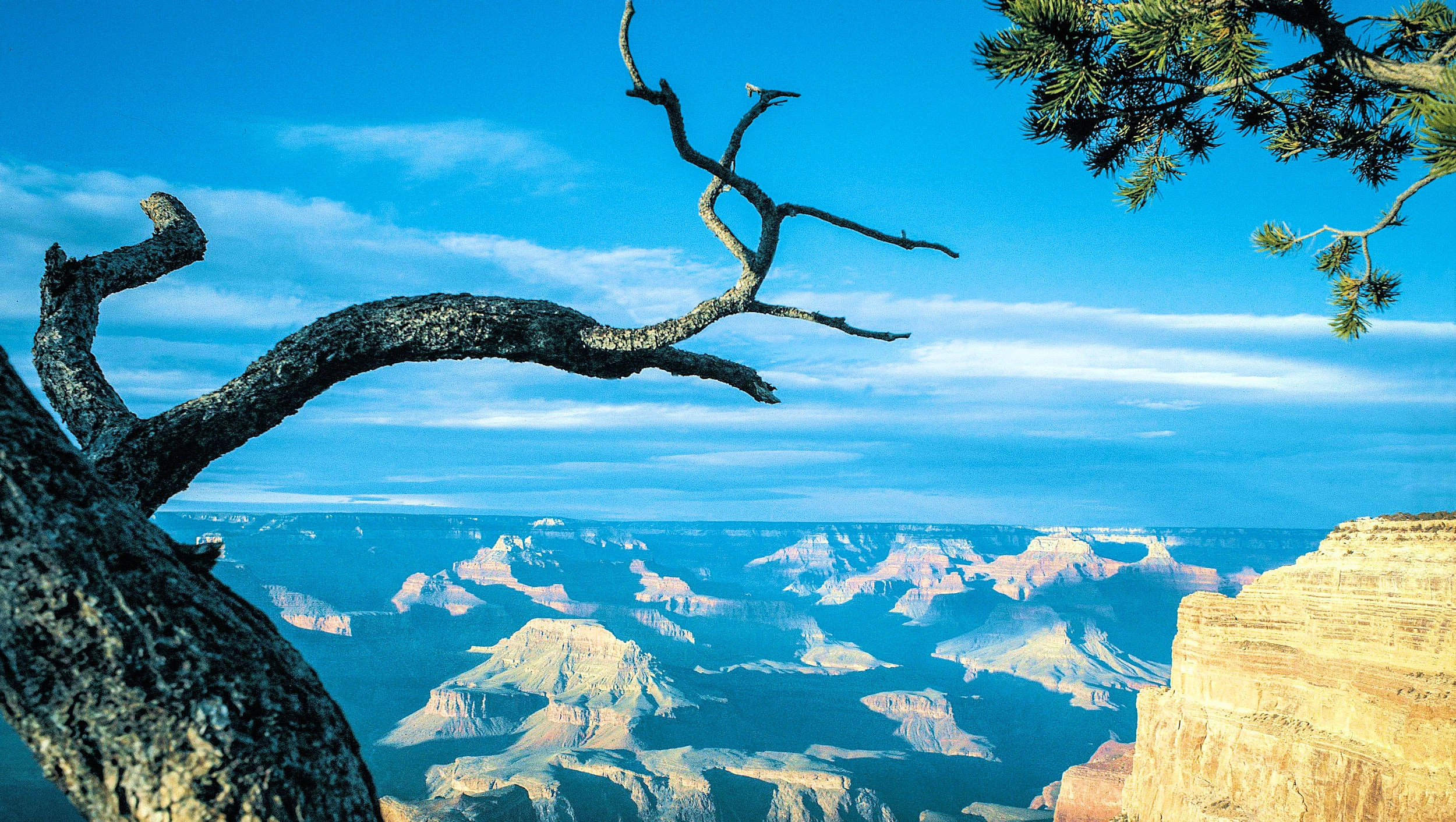 Northern Arizona Canyons Road Trip