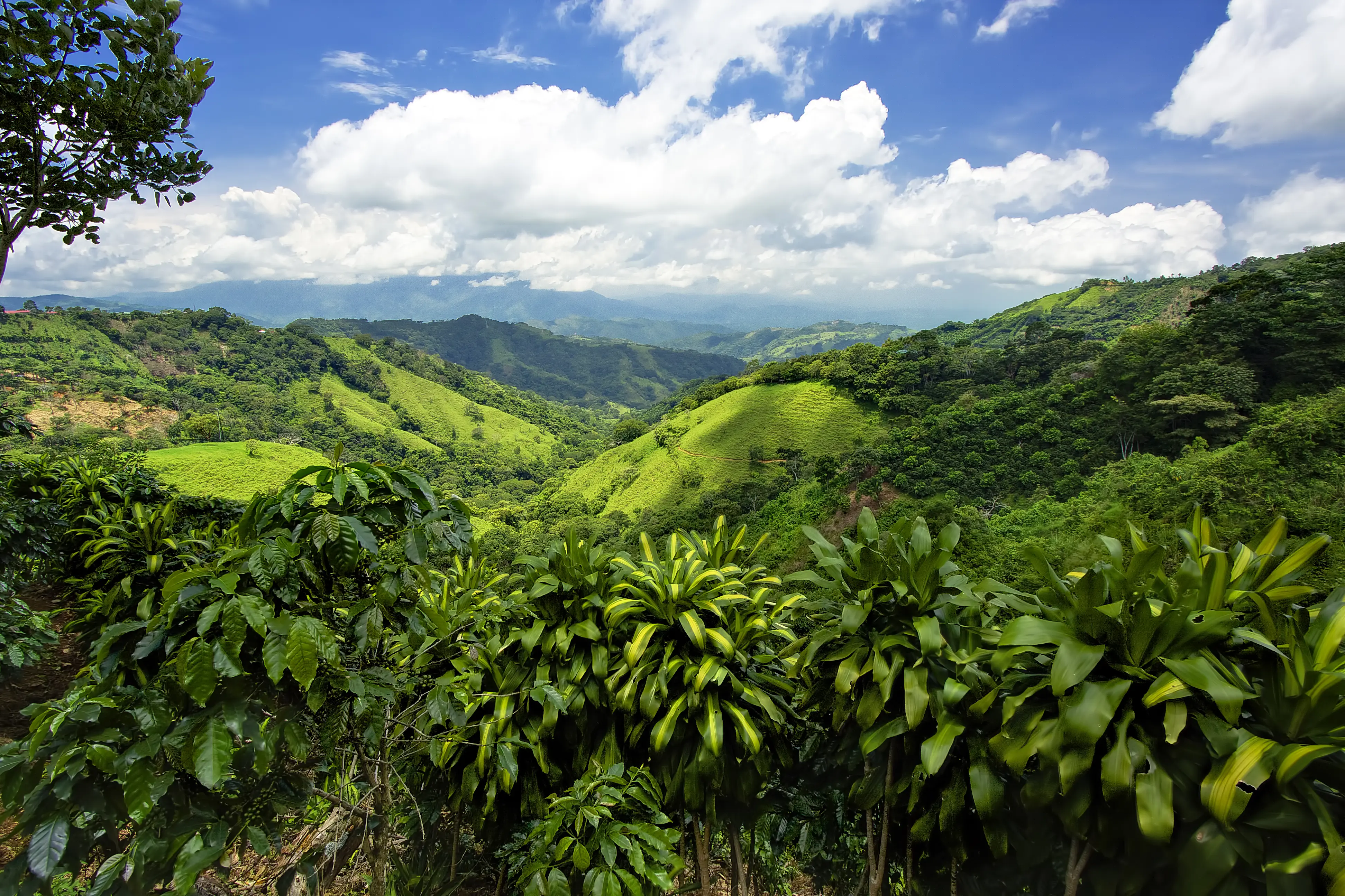 Costa Rica mountains and hillside was amazing. view into valley was unbelievable. It was so much green for miles, and miles. cloud formation.