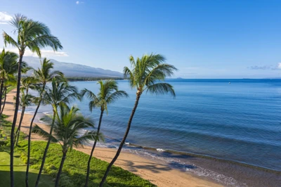 Maui Travel Guide 2025 - Trip Canvas - AAA