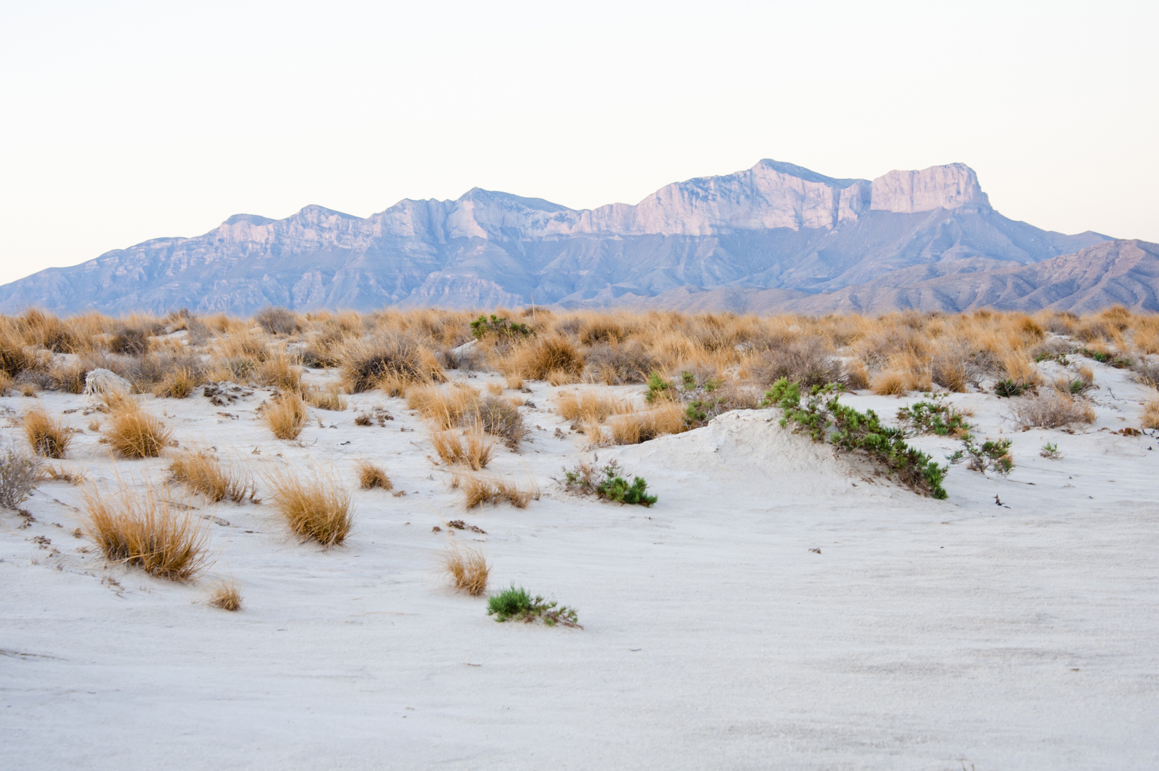 Guadalupe Mountains Scenic Drive Road Trip