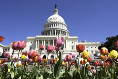 Best Time to Visit Washington, D.C.