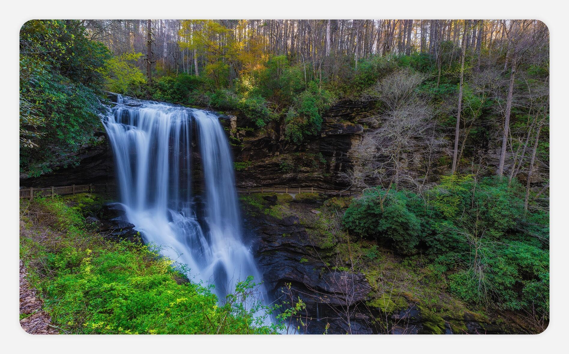 Waterfall in a forest