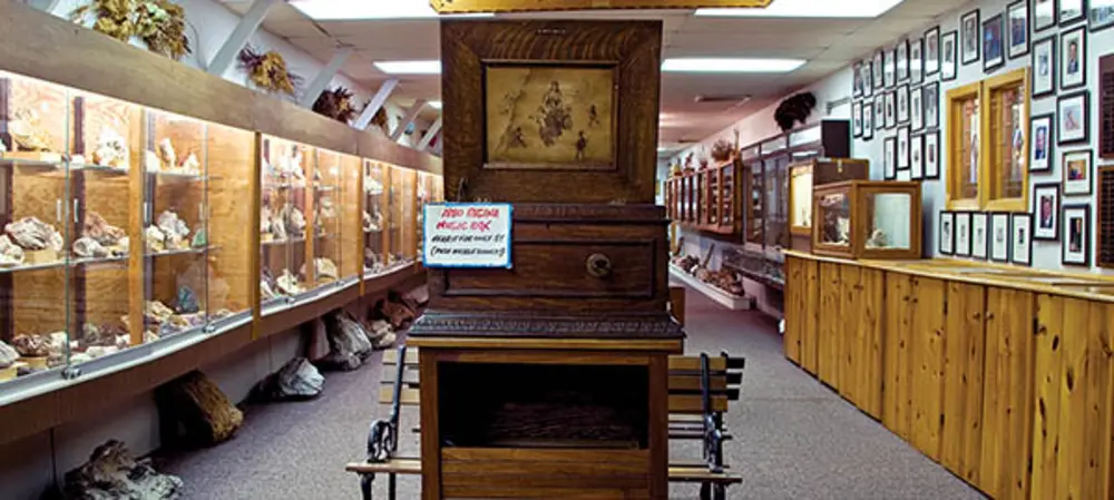 Pioneer Auto Show