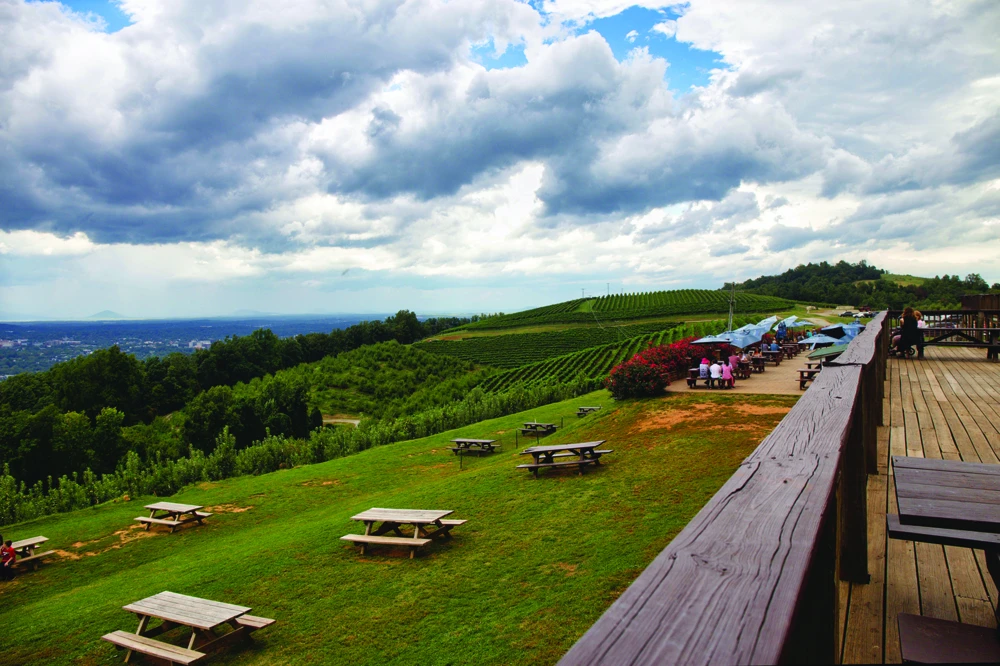 Carter Mountain Orchard