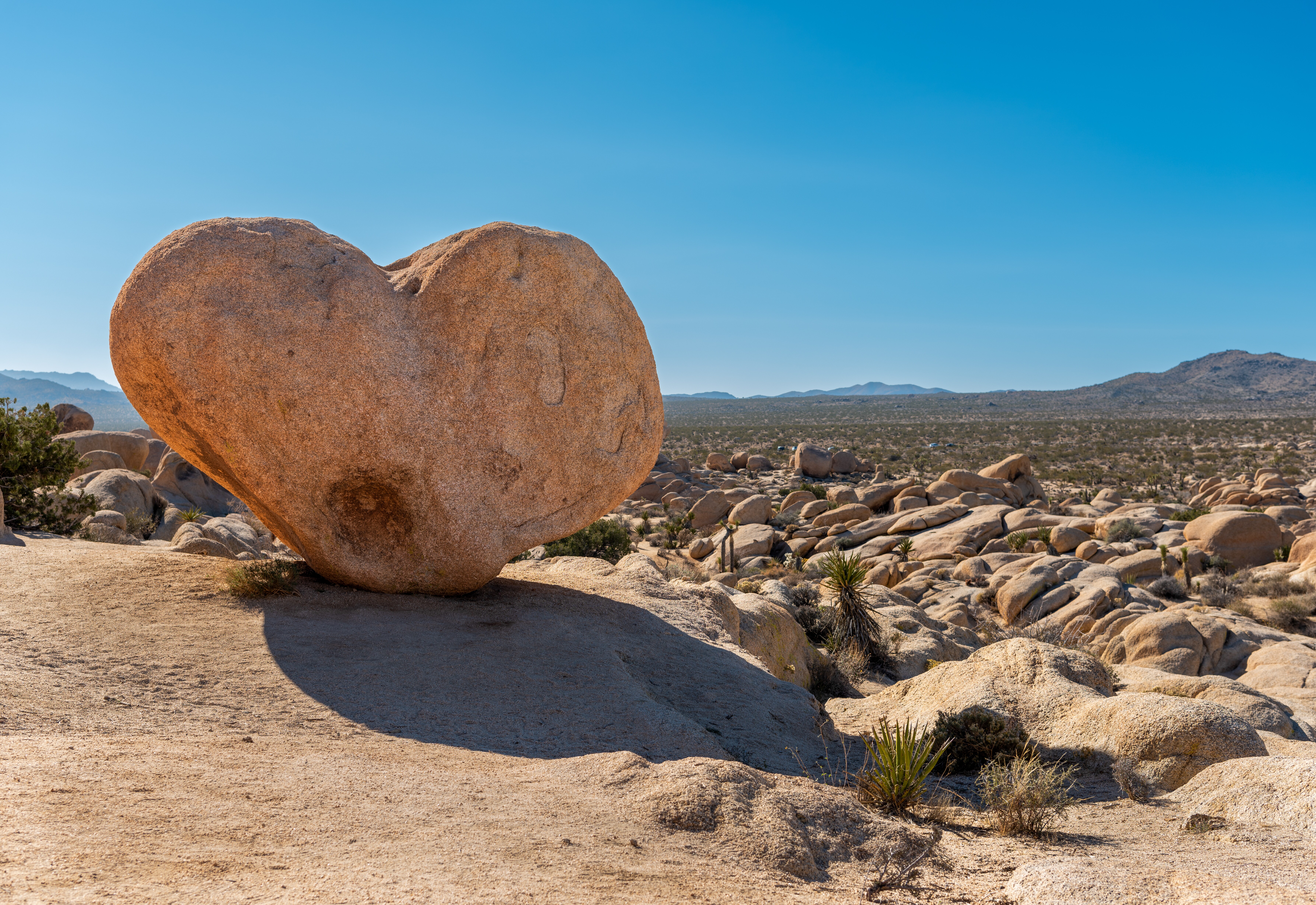 Image of the famous Heart Rock in Joshua Tree National Park.