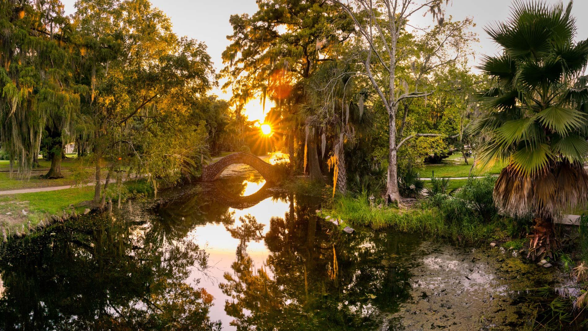 A photo of New Orleans City Park.
