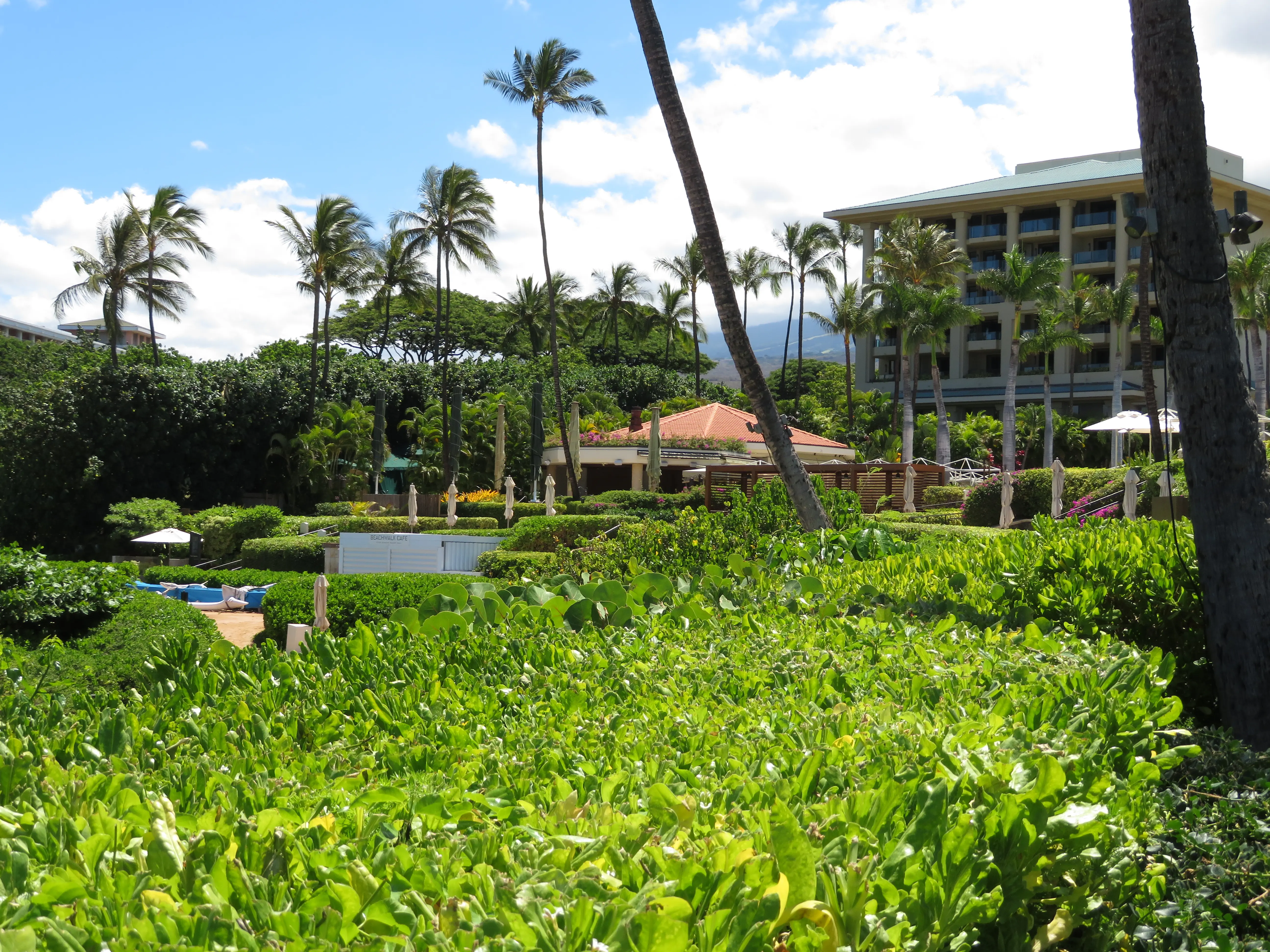 Exterior image of the Four Seasons Resort Maui at Wailea.