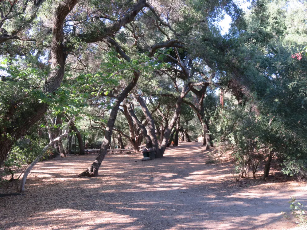 Oak Canyon Nature Center in the hills east of Anaheim, California