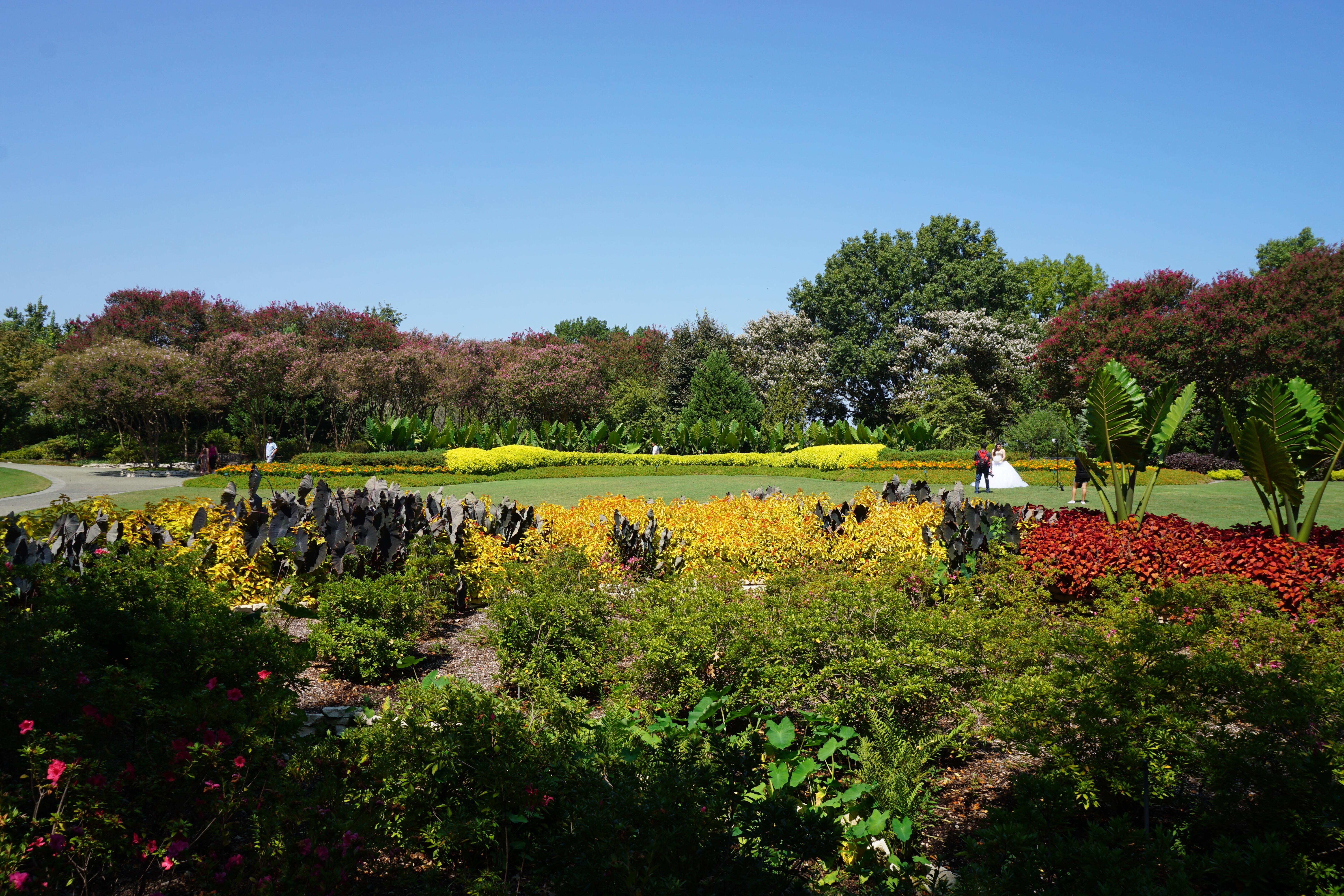 Outdoor picture of the Dallas Arboretum and Botanical Garden