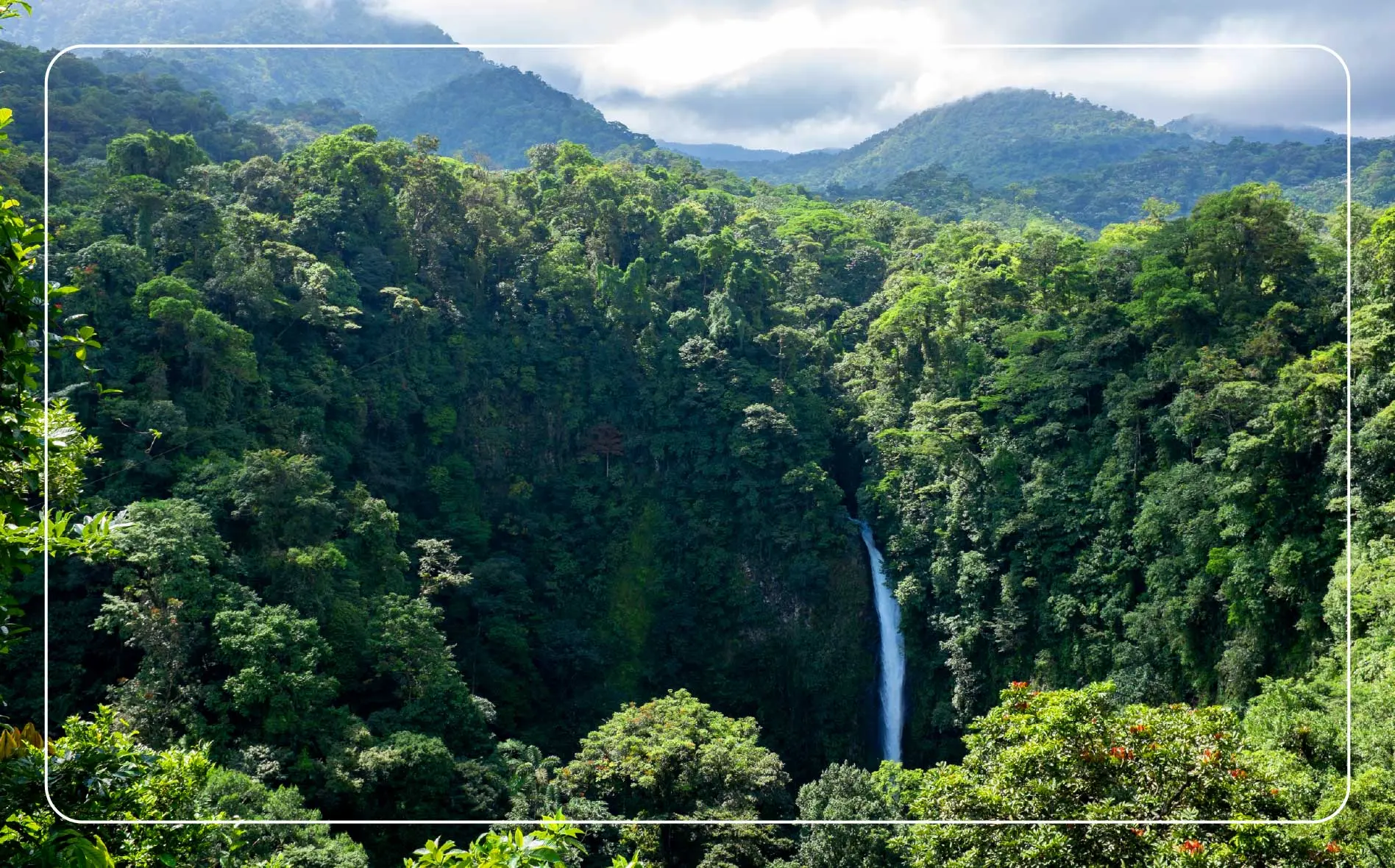 Treetop views of San Luis Waterfall in Monteverde, Costa Rica.