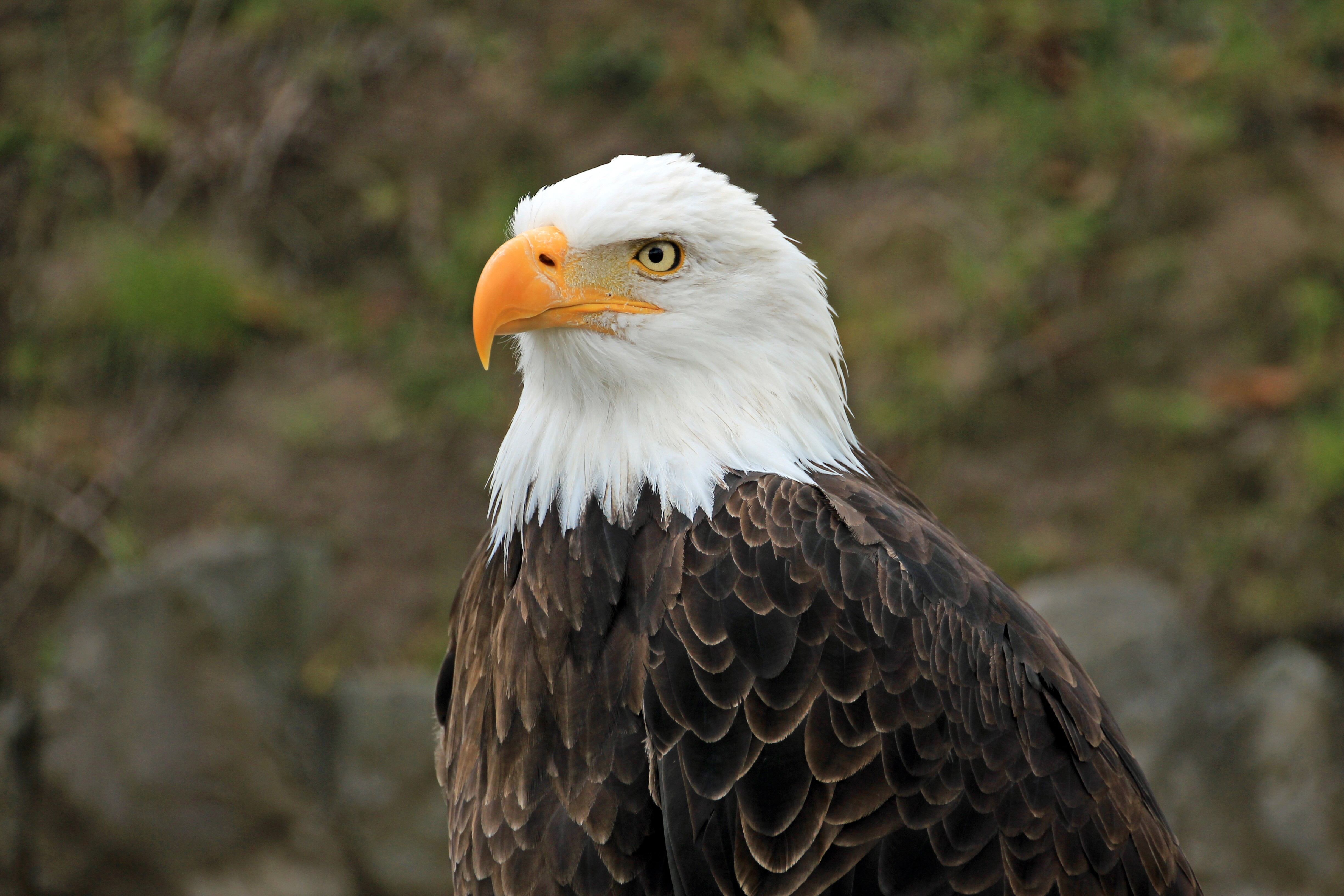 Washington's International Selkirk Scenic Loop Road Trip