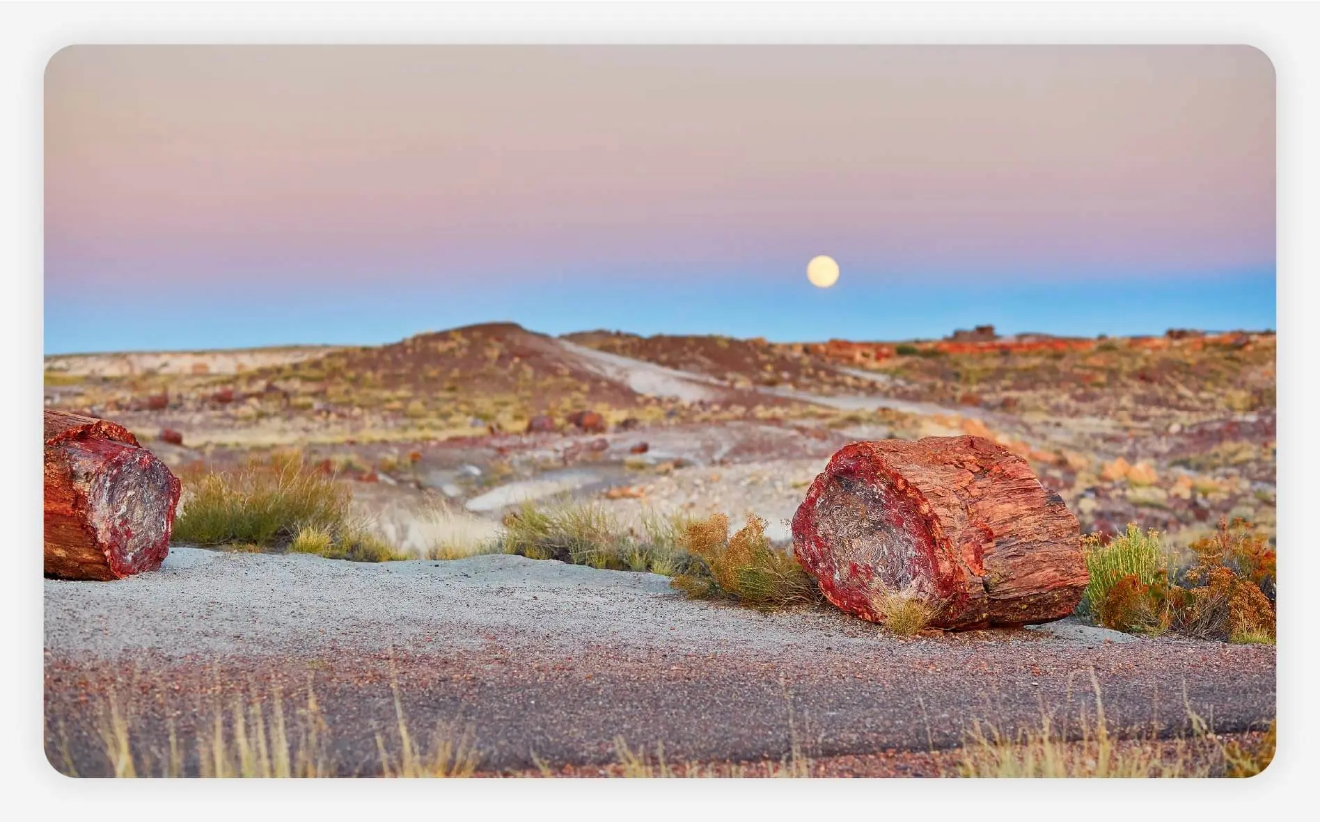A photo of Petrified Forest National Park in Arizona.