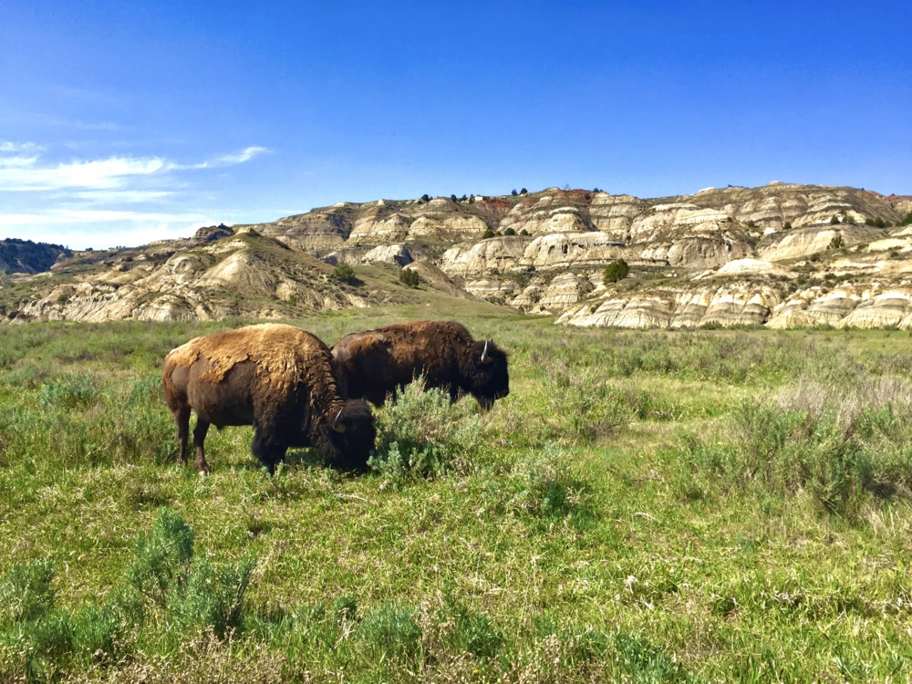 Theodore Roosevelt National Park in North Dakota