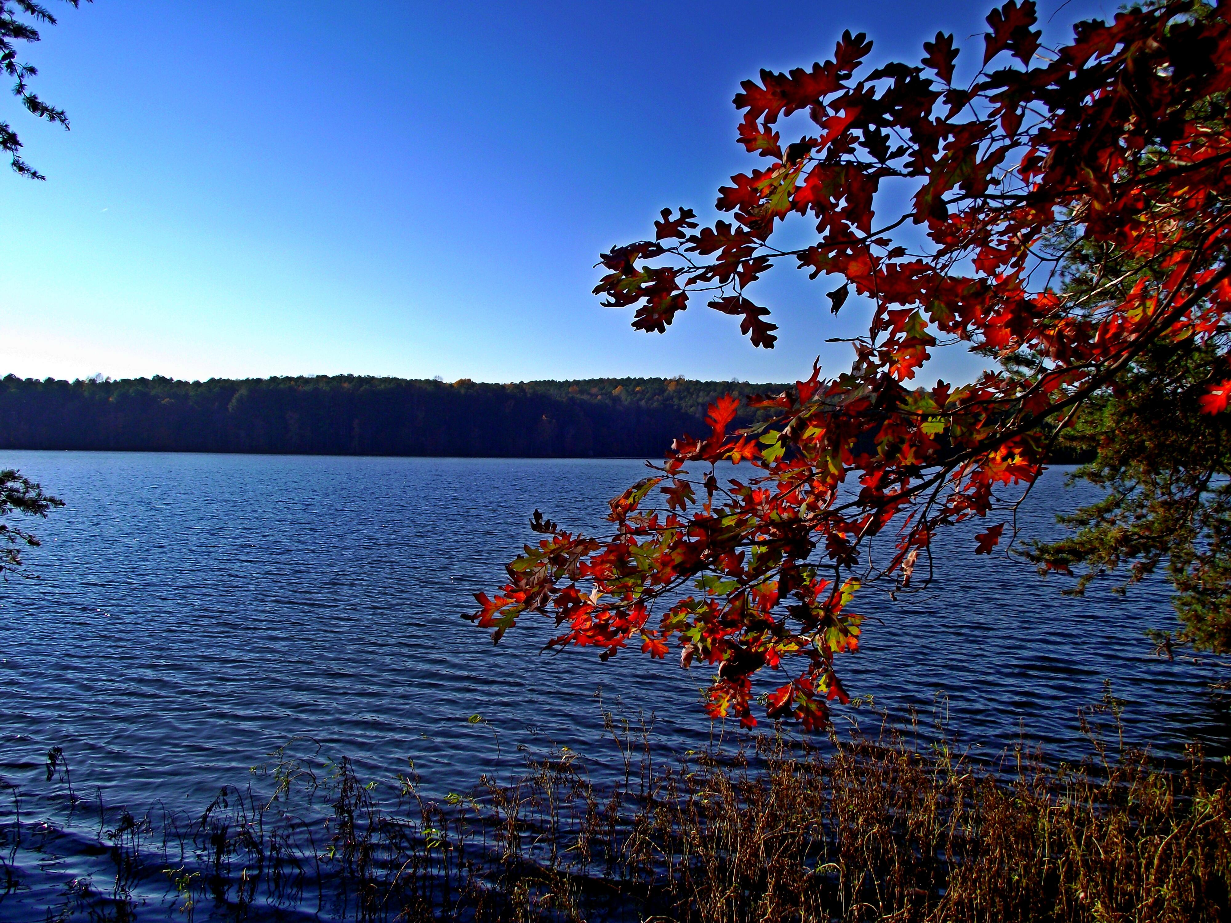 Image of Badin Lake in North Carolina.