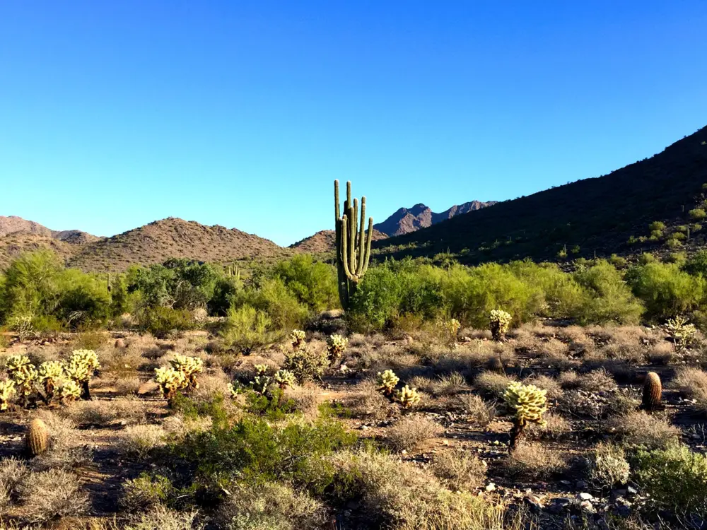 McDowell Sonoran Preserve