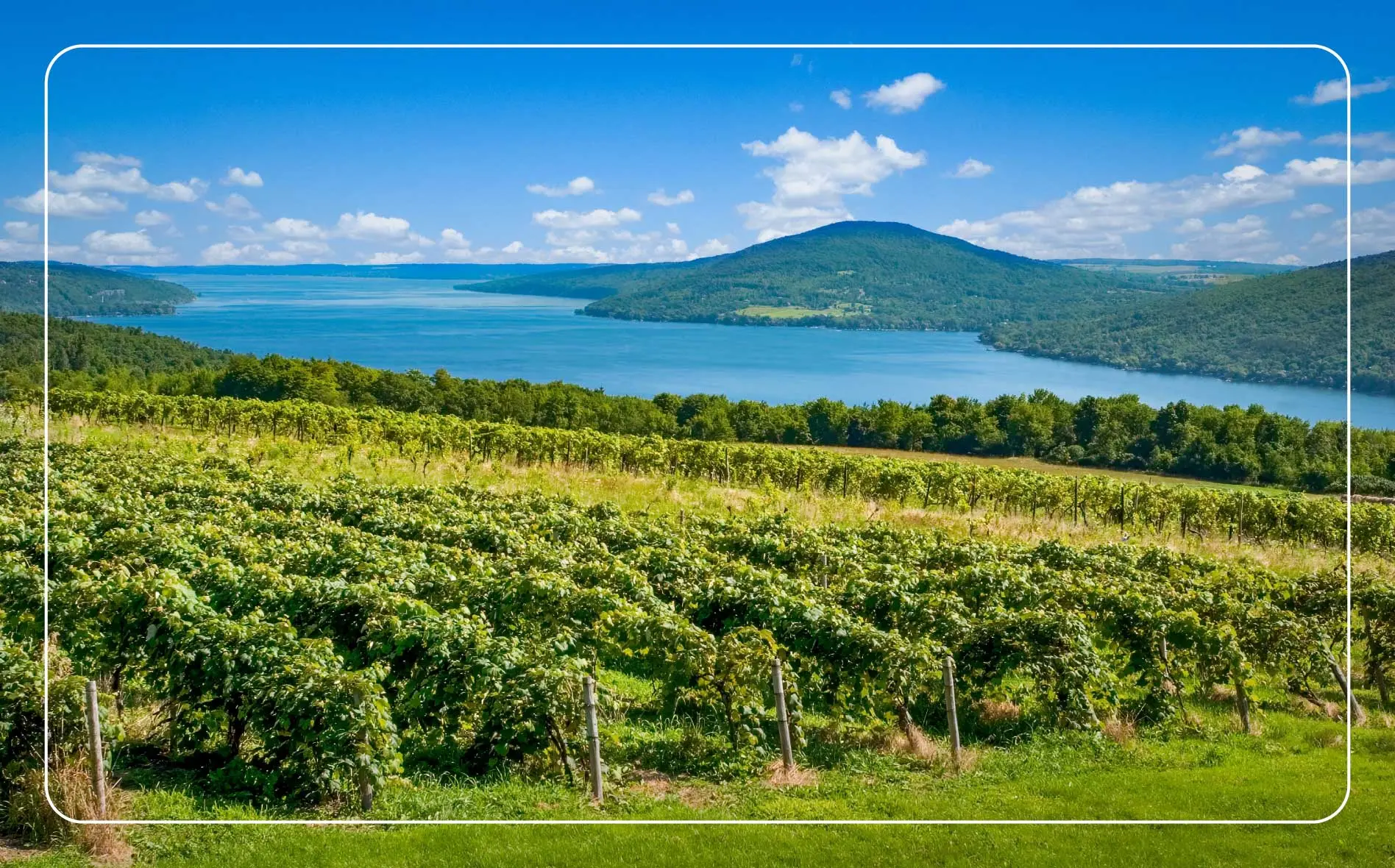 Canandaigua, one of the Finger Lakes, in the background of rows of vineyards.