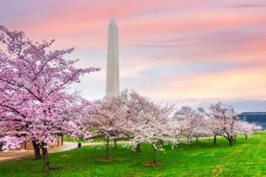 Washington, D.C. Ultimate Getaway Roundtrip From Chicago