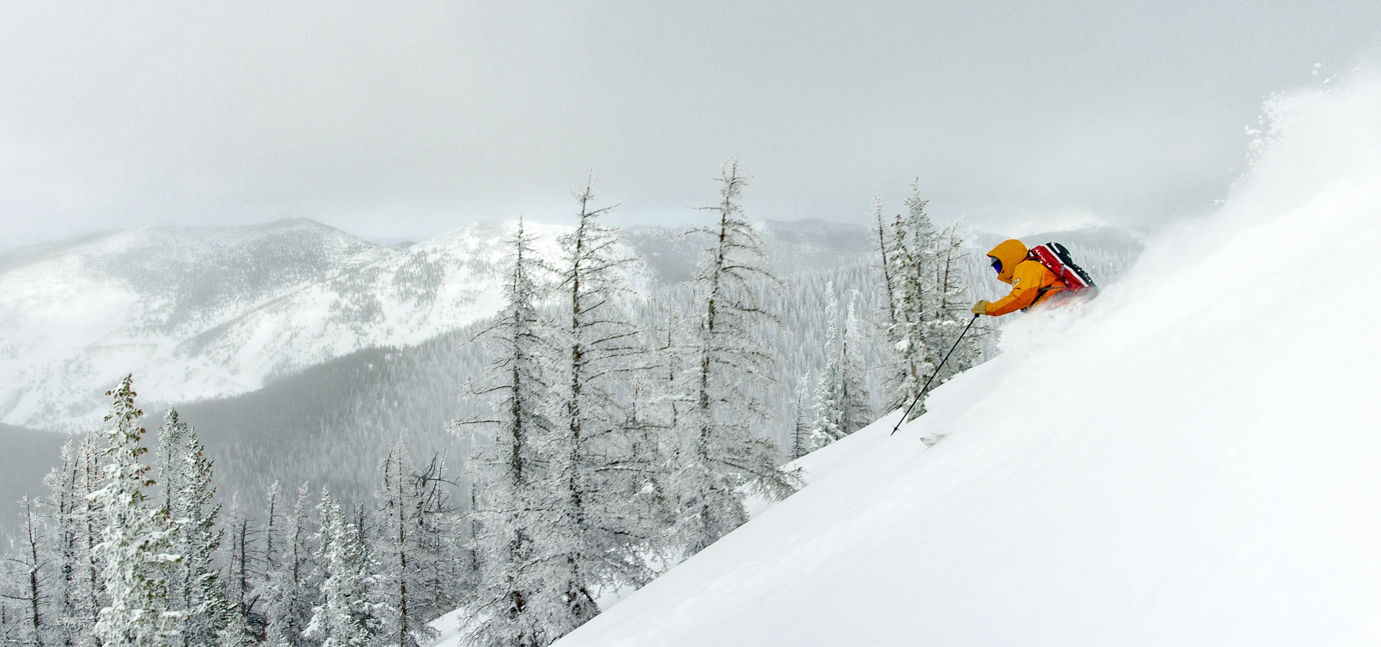 A skiier takes on the powder down Monarch
