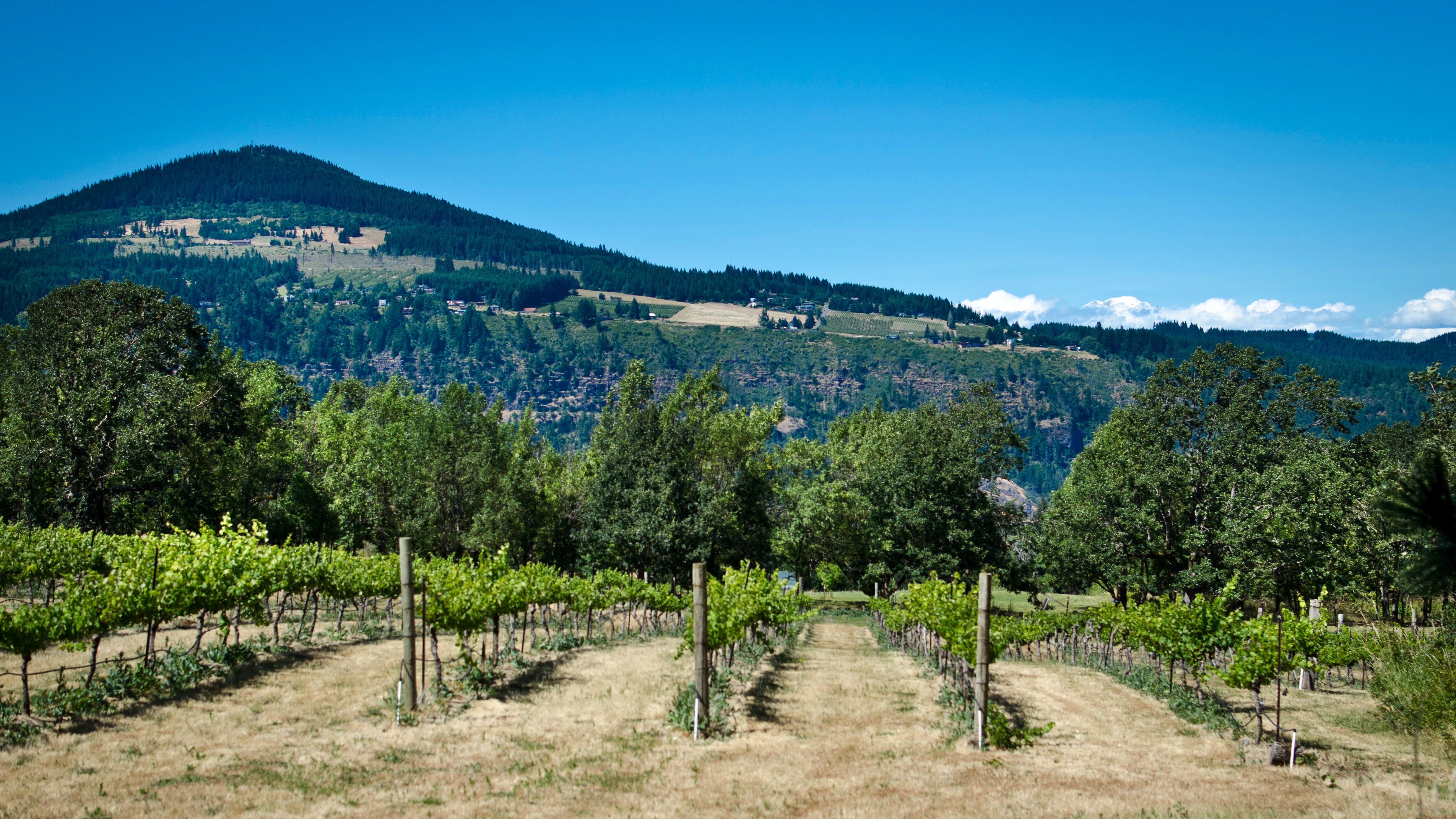 Mt Hood Scenic Loop, Hood River County Tour Route Road Trip