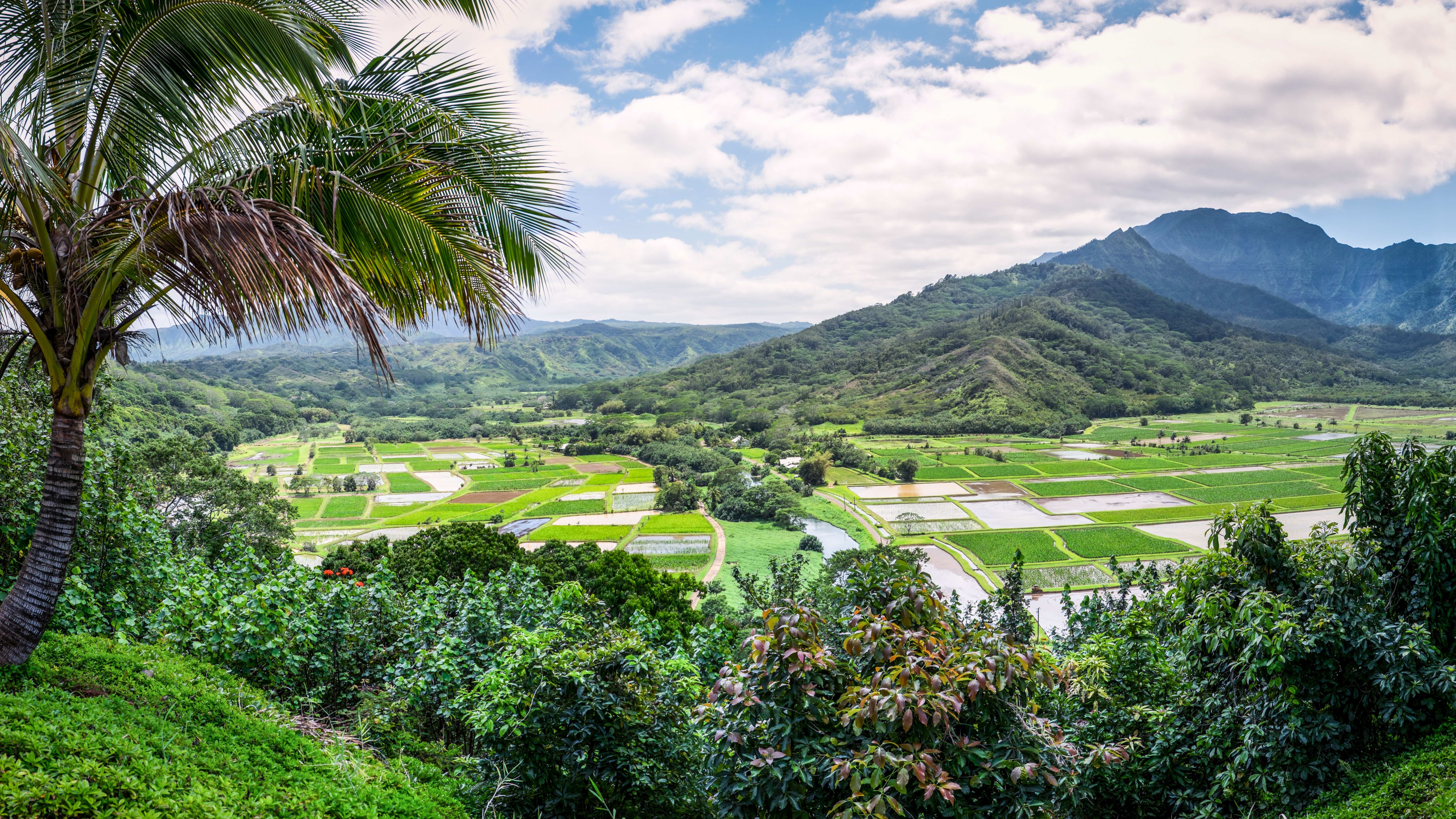 Kuhio Scenic Highway Road Trip