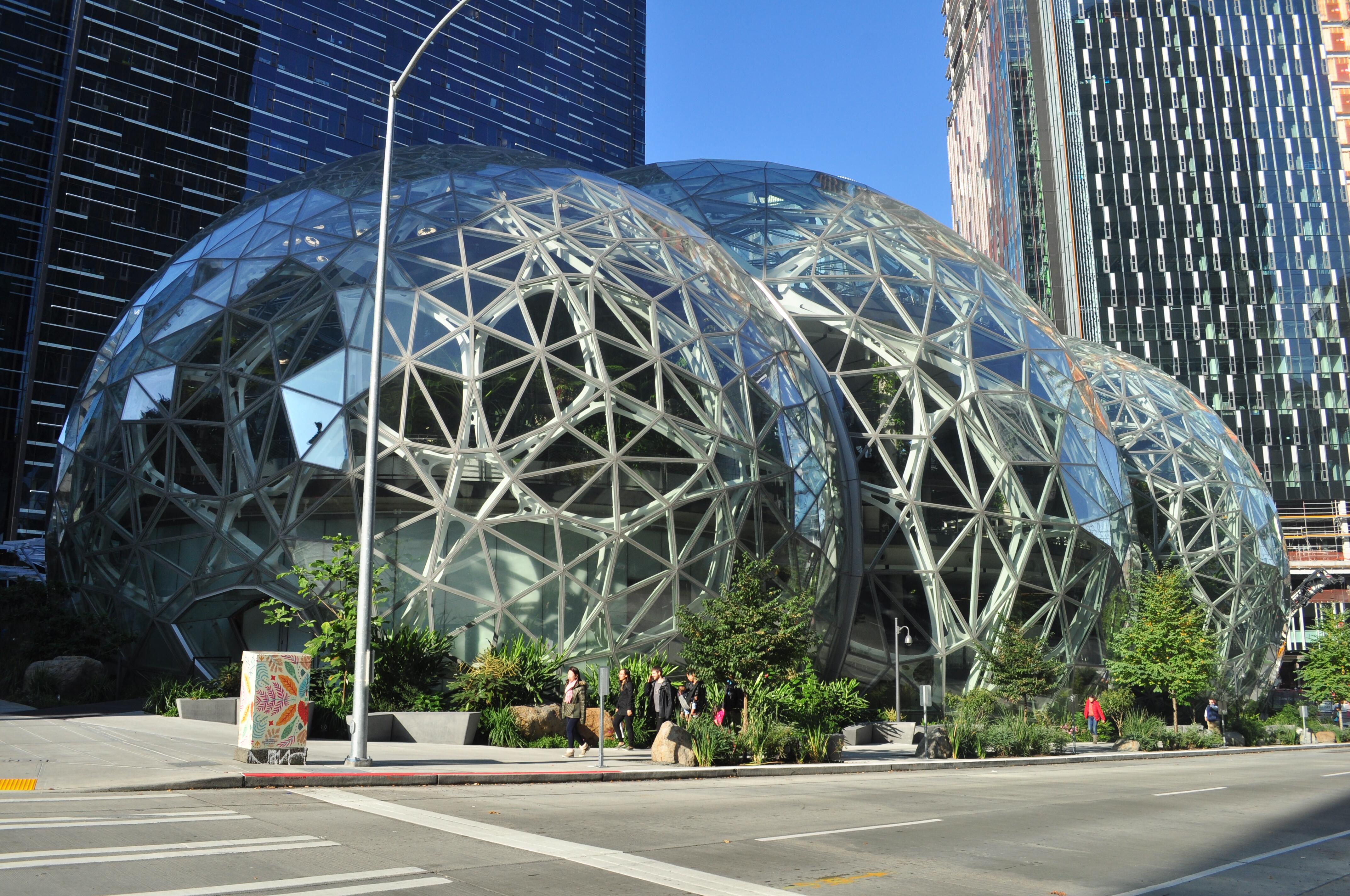 Image of the Amazon Spheres in Seattle.