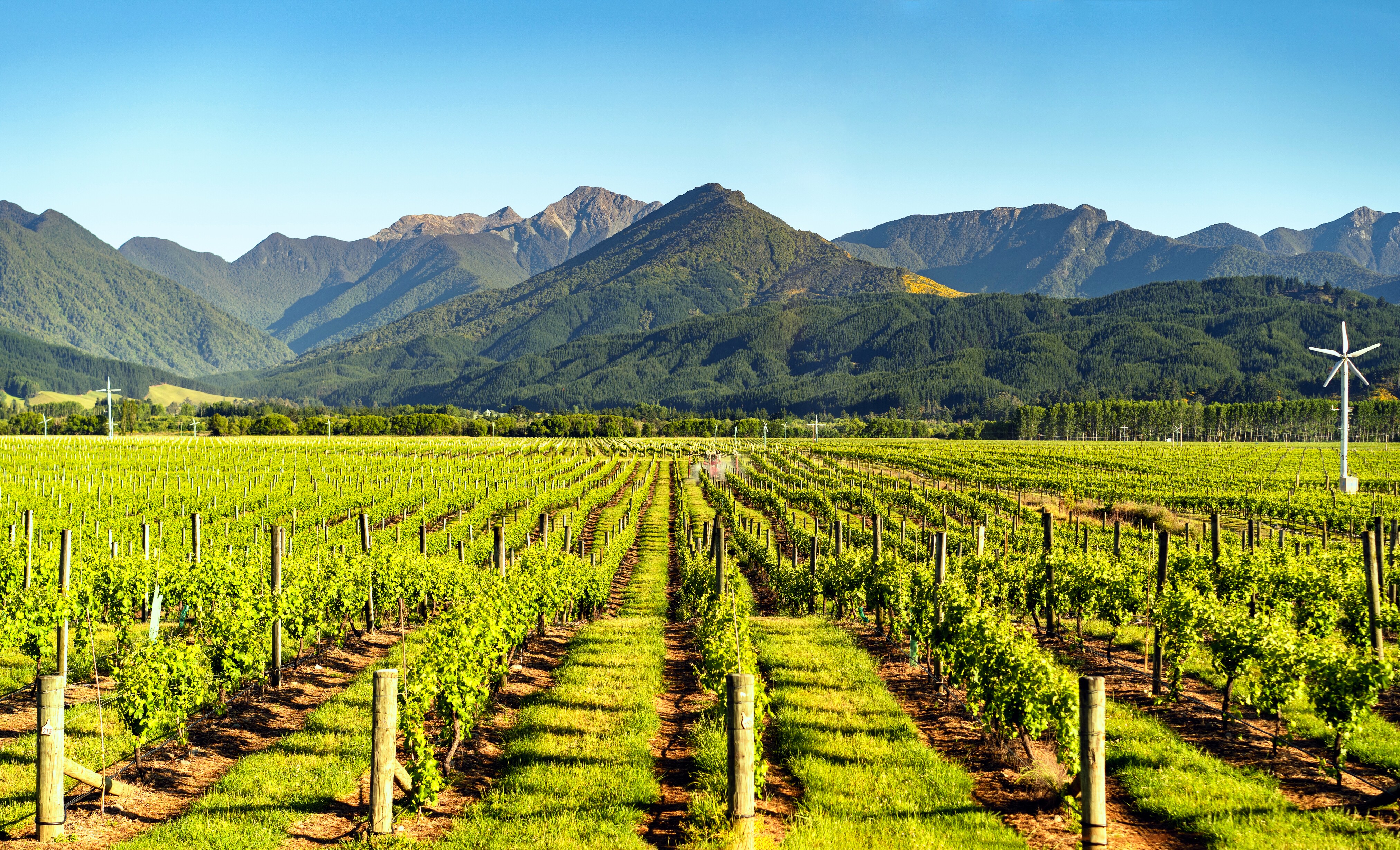 new zealand tours january 2024