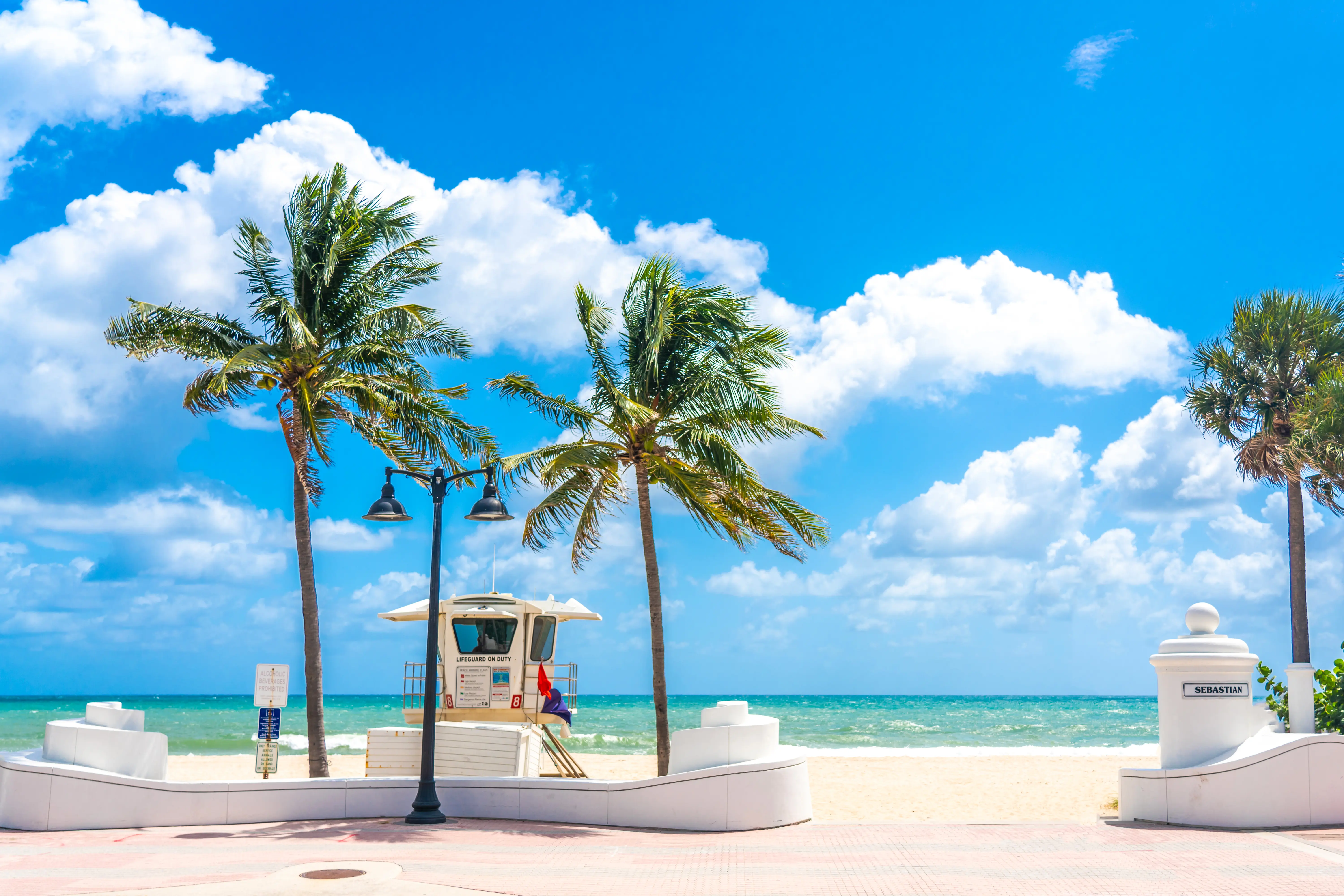 Seafront beach promenade with palm trees on a sunny day