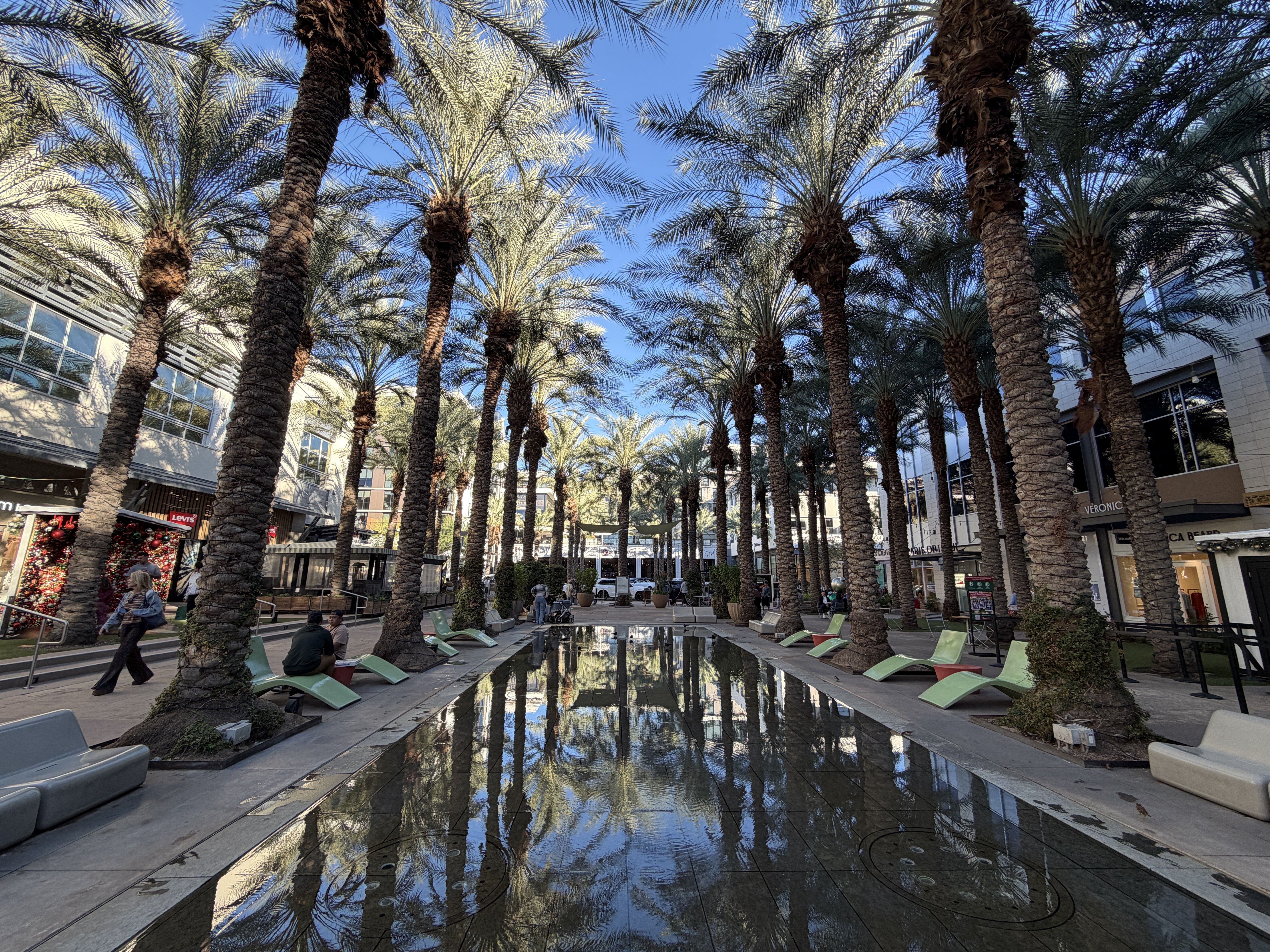 A reflecting pool lined by tall palm trees with shops of on both sides