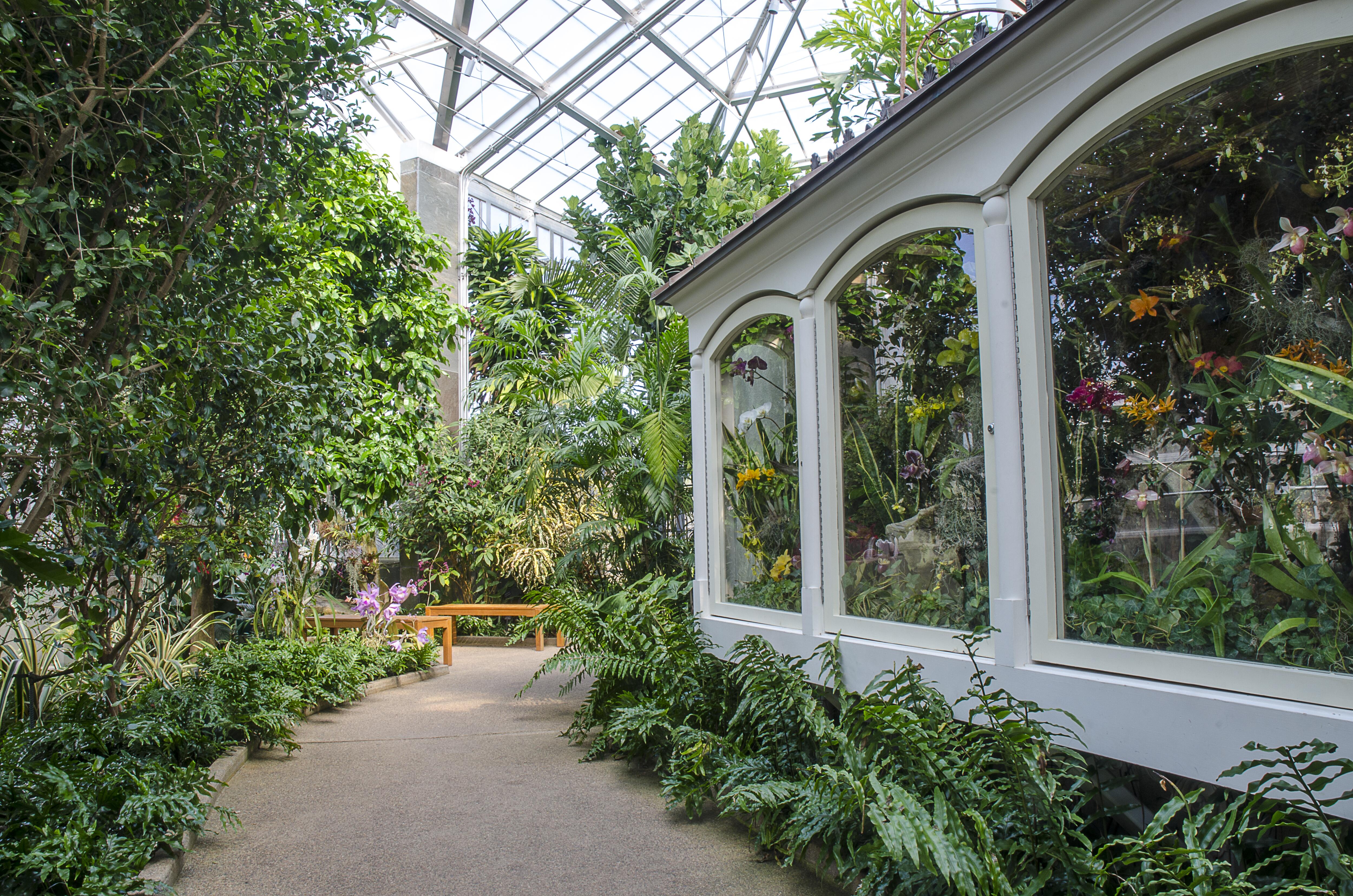 Indoors in the Orchid Conservatory at Daniel Stowe Botanical Garden during the annual Art & Orchids event.