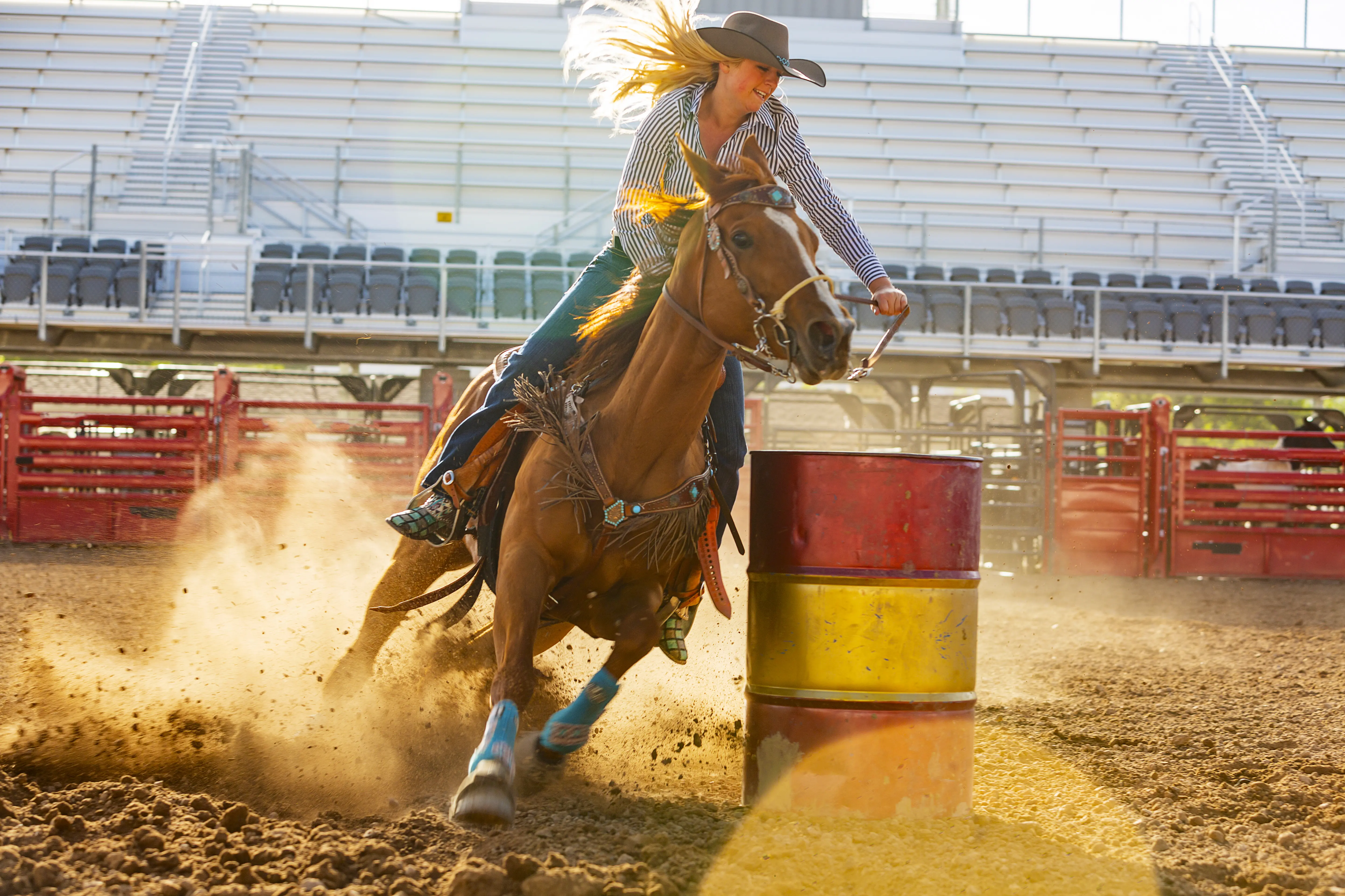 Cowgirl riding on horse around a barrel at rodeo