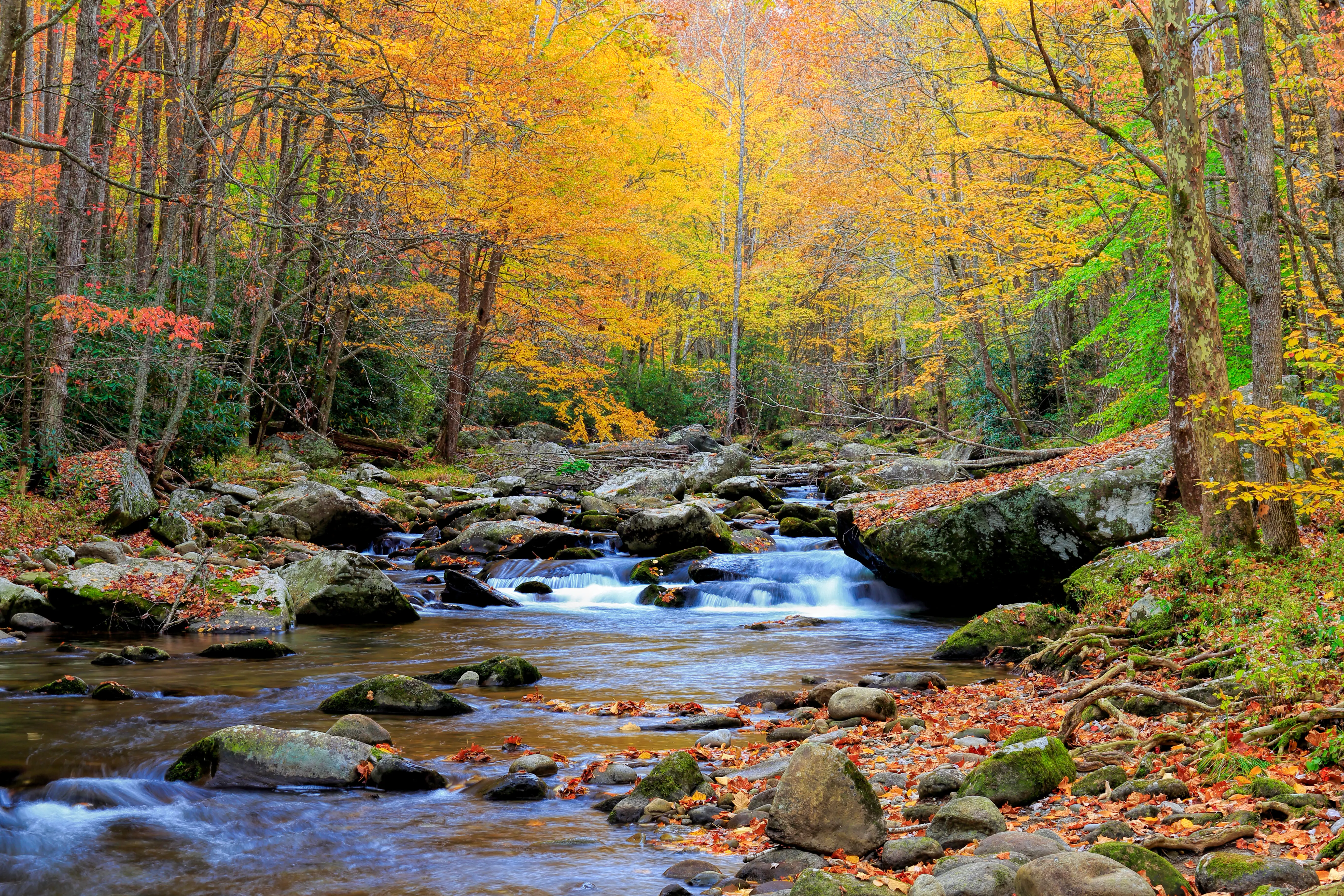 Autumn in the Great Smoky Mountains with water cascading down rocky river at Little River, Tennessee