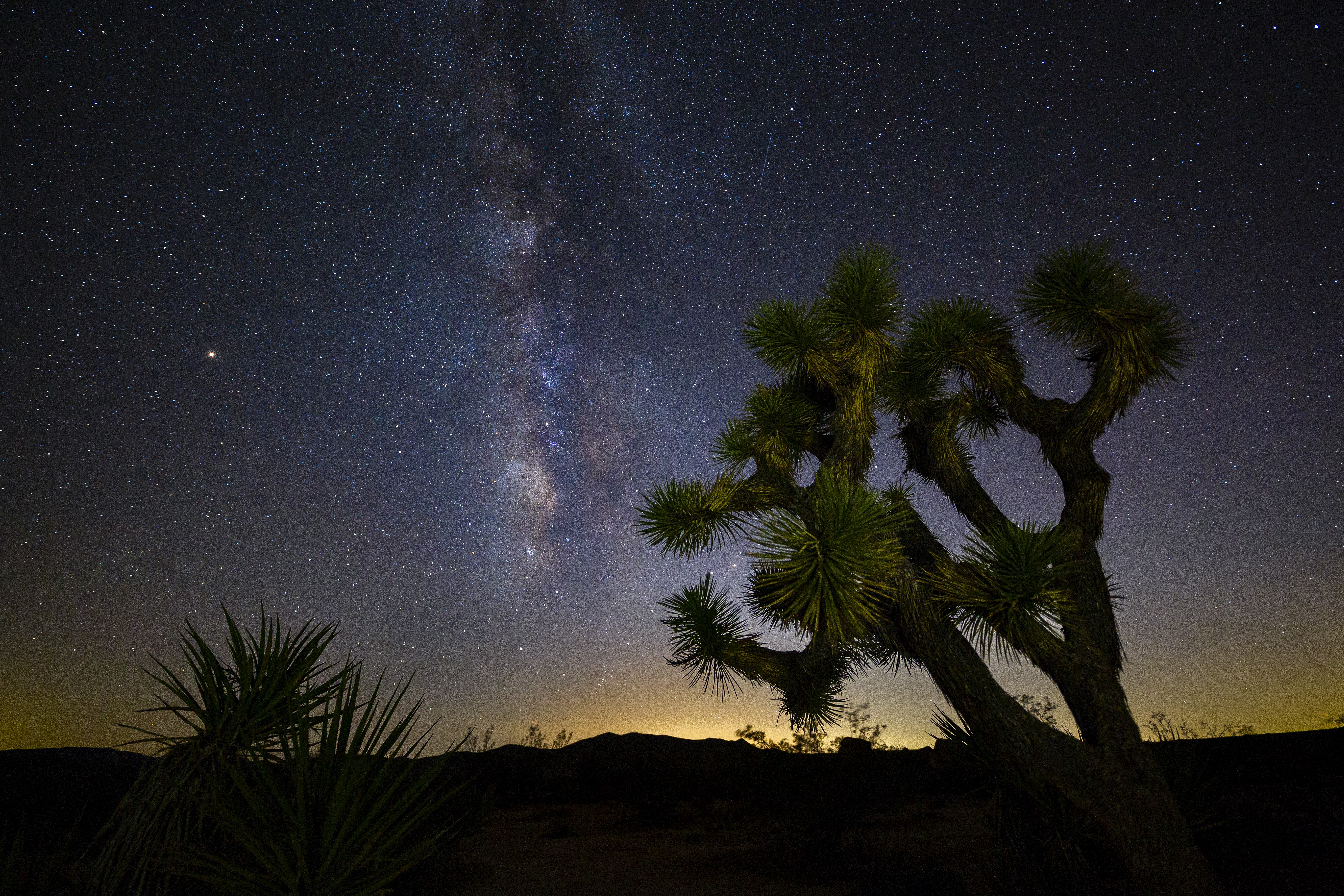 Image of the Milky Way visible in the night sky, over Joshua Tree National Park.
