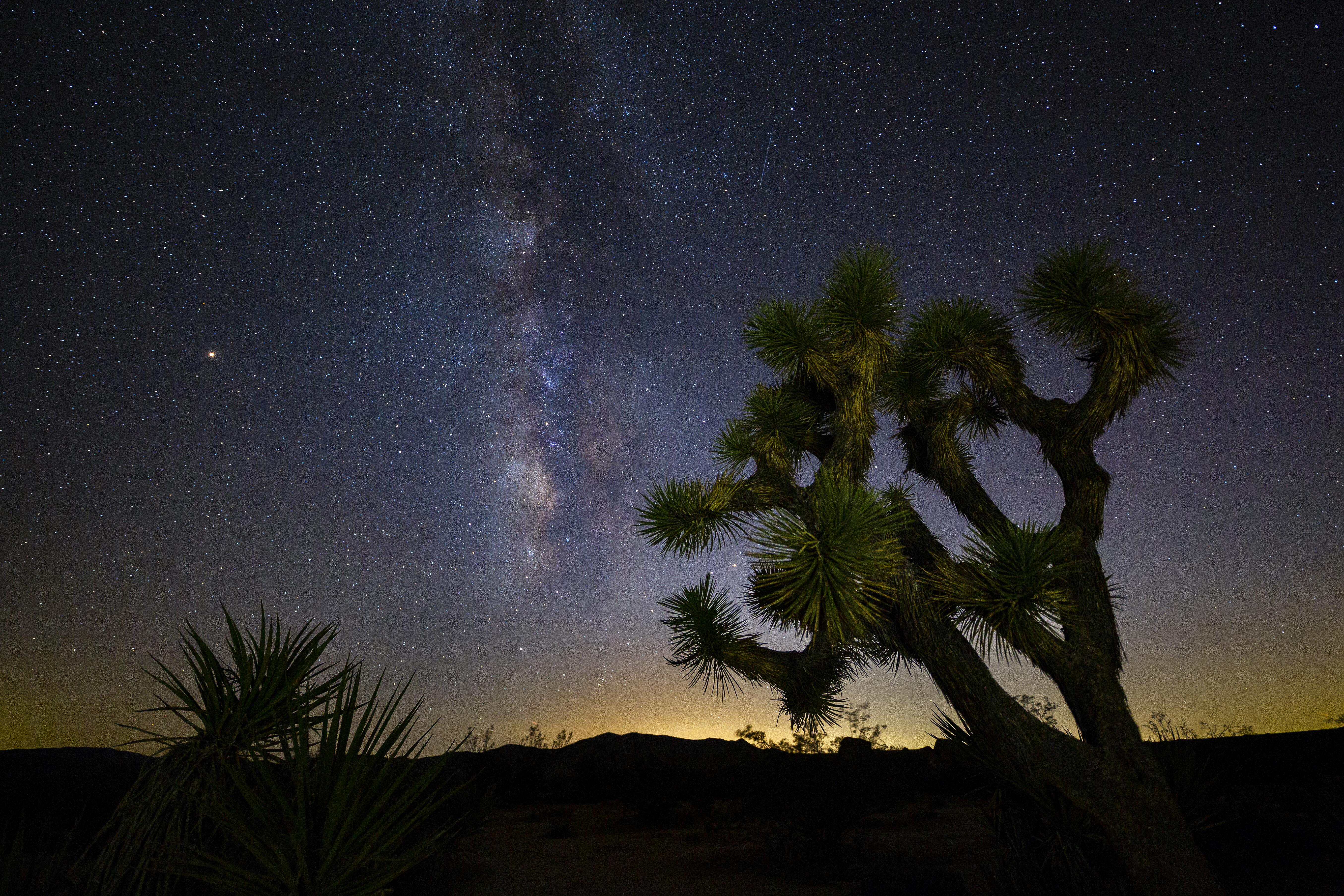 Image of the Milky Way visible in the night sky, over Joshua Tree National Park.