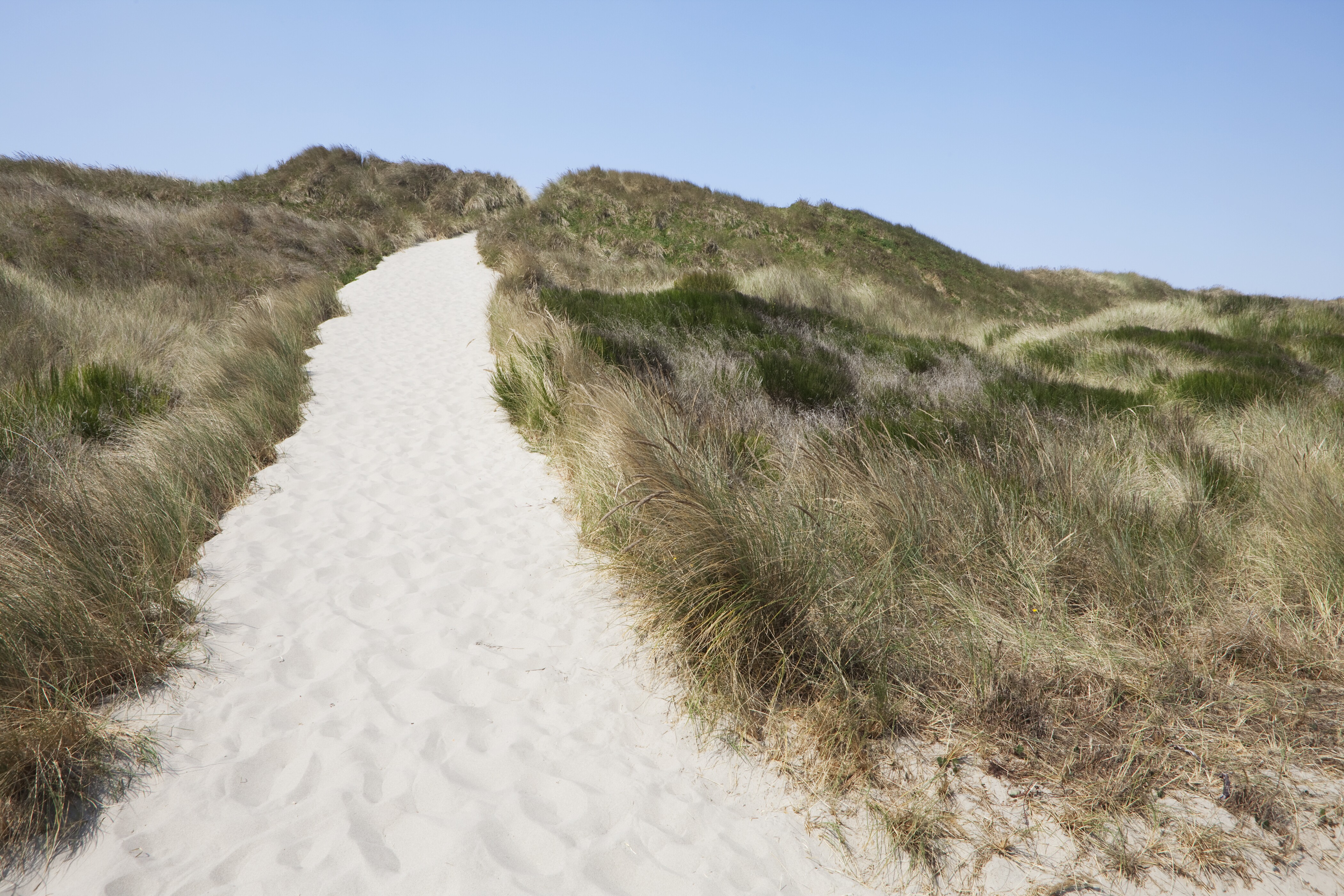 Pacific Coast Scenic Byway, Oregon Coast Road Trip