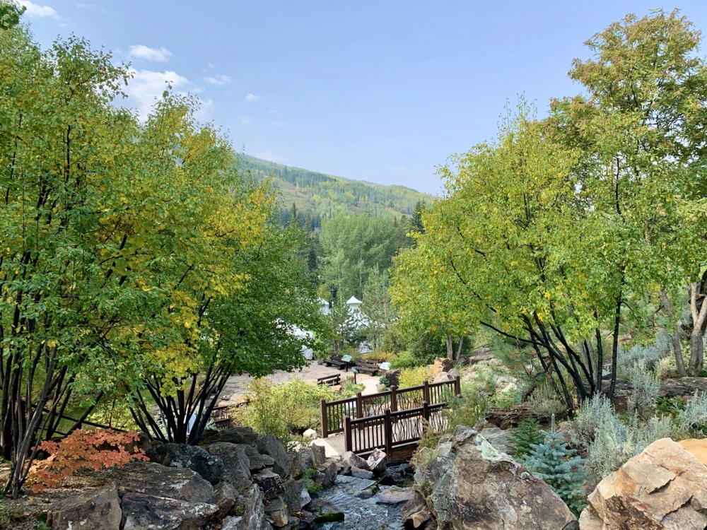 Betty Ford Alpine Gardens