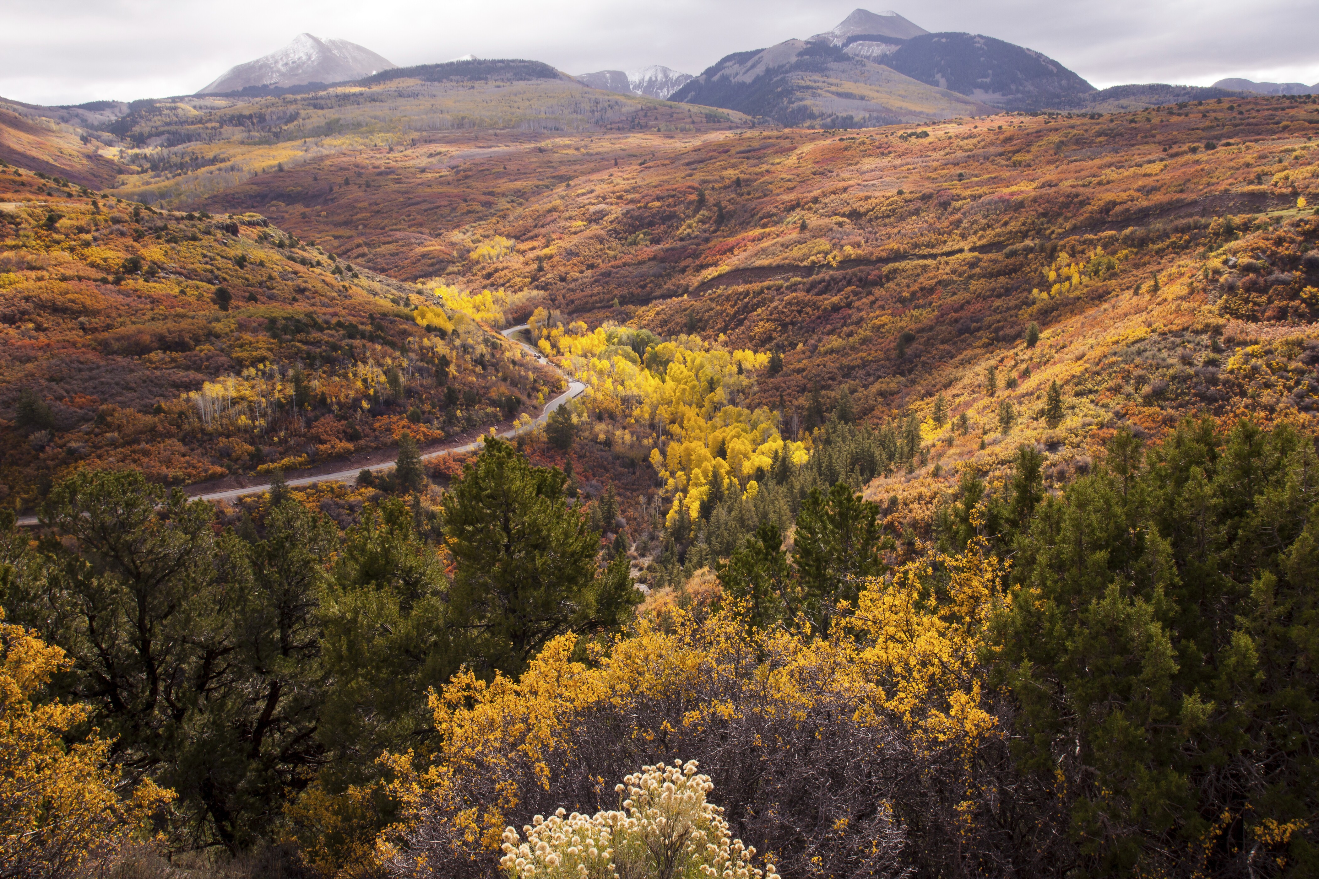 Huntington Canyon Scenic Byway Road Trip