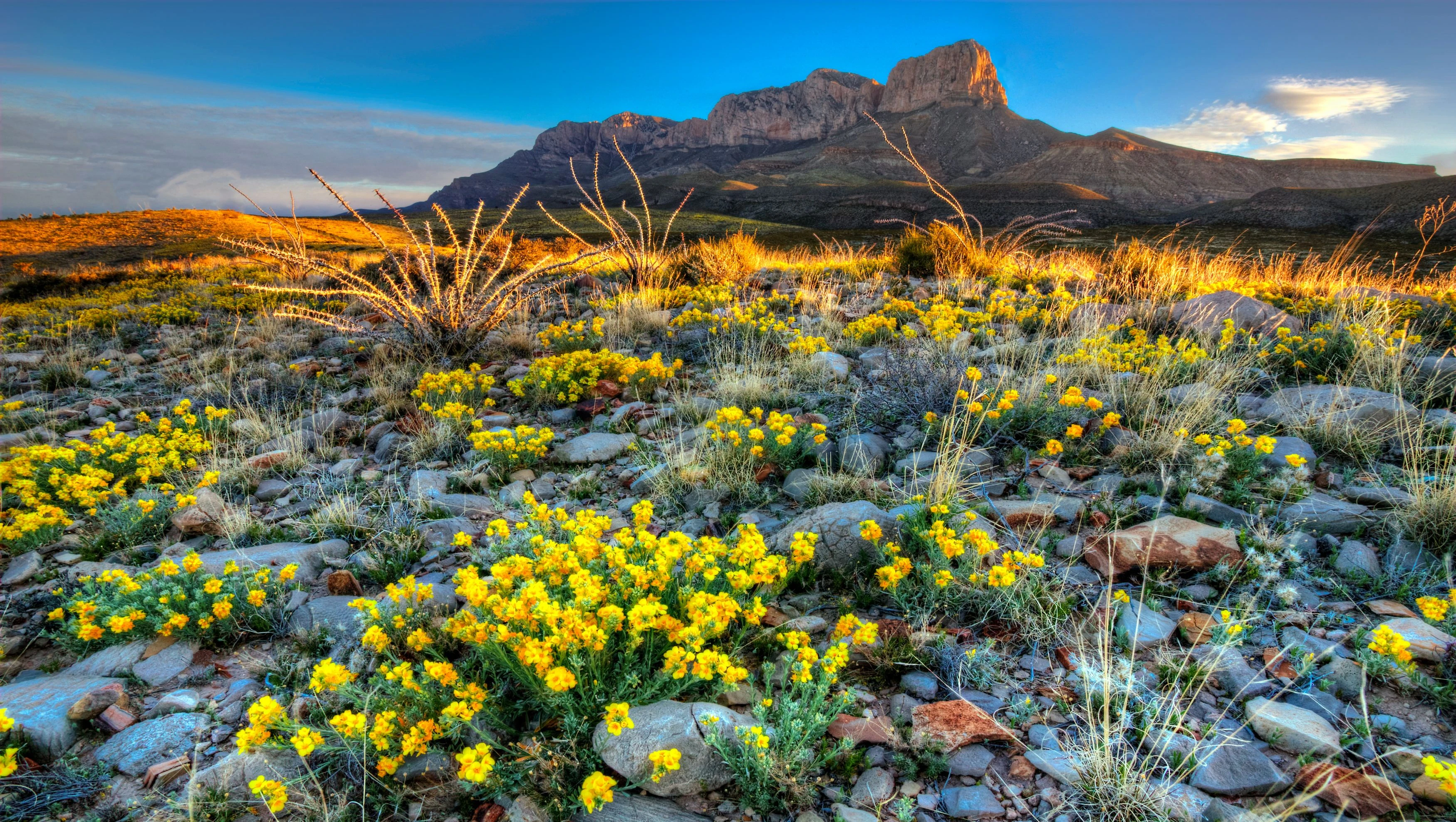 Lubbock to El Paso Road Trip
