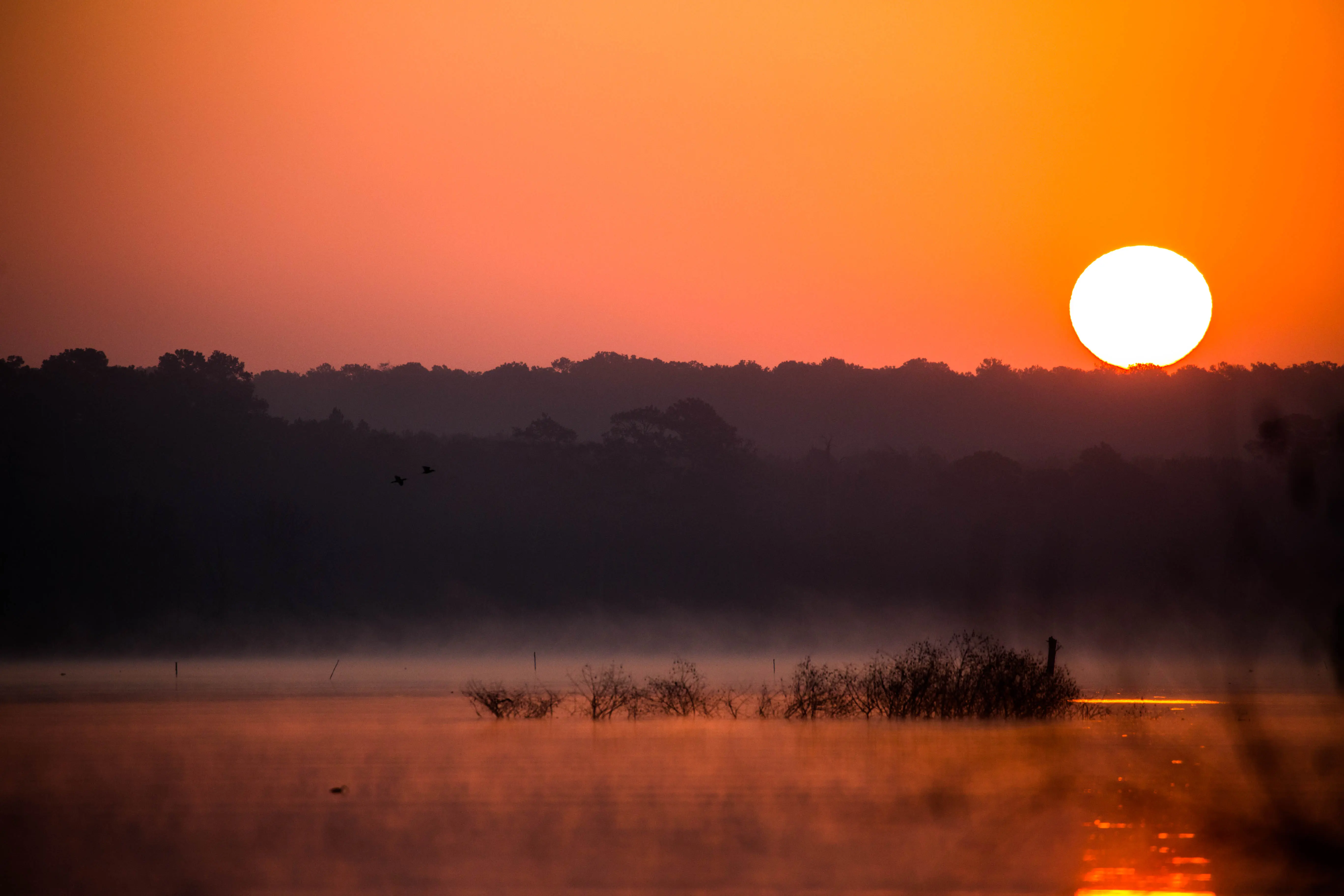 Image of Lake Conroe at sunrise in Montgomery County, Texas.