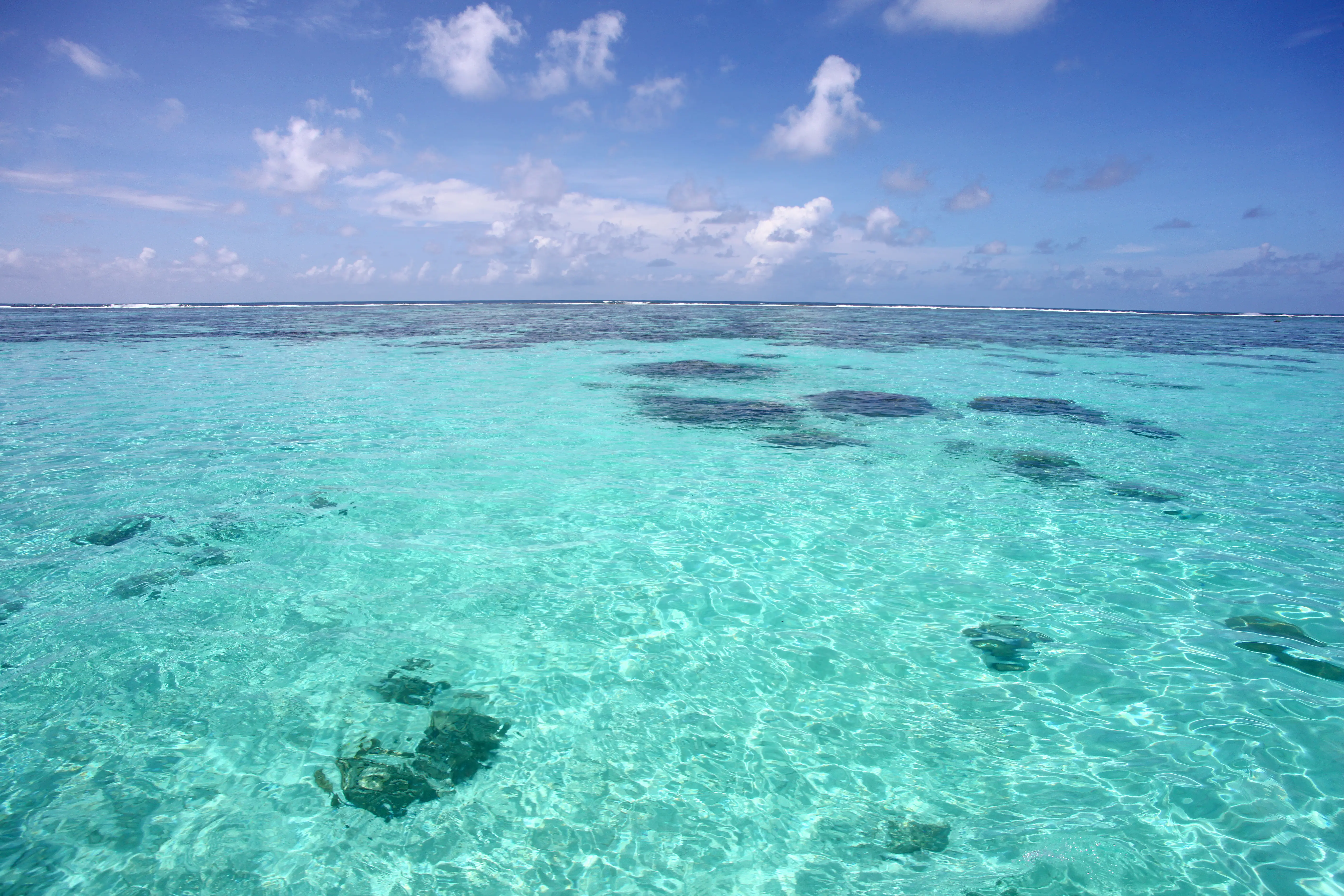 Tropical caribbean sea, clear turquoise water & beautiful blue sky, Montego Bay, Jamaica.