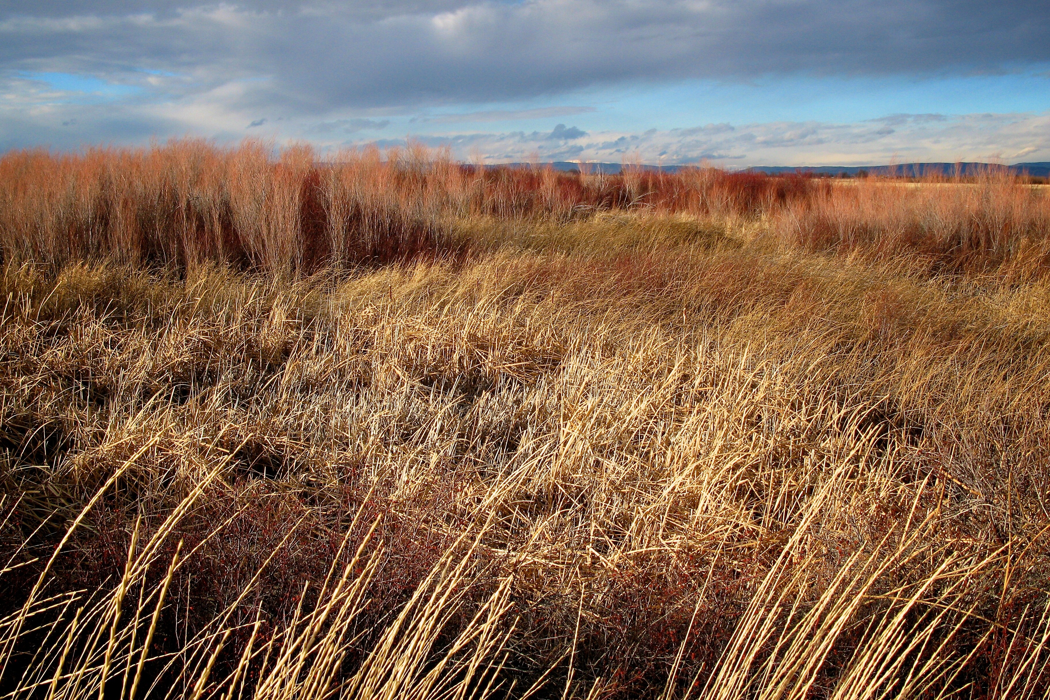 Yakima Scenic Byway Road Trip